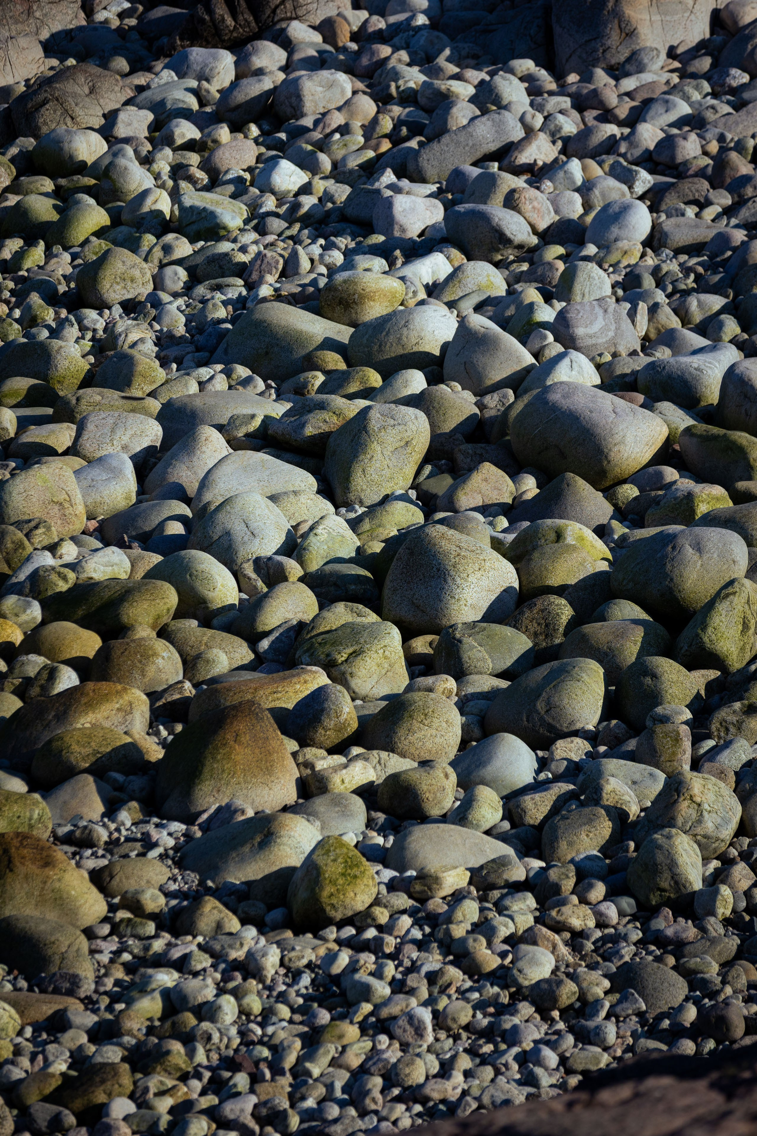 Кольский (осень 2025). Фотограф Виноградов Константин