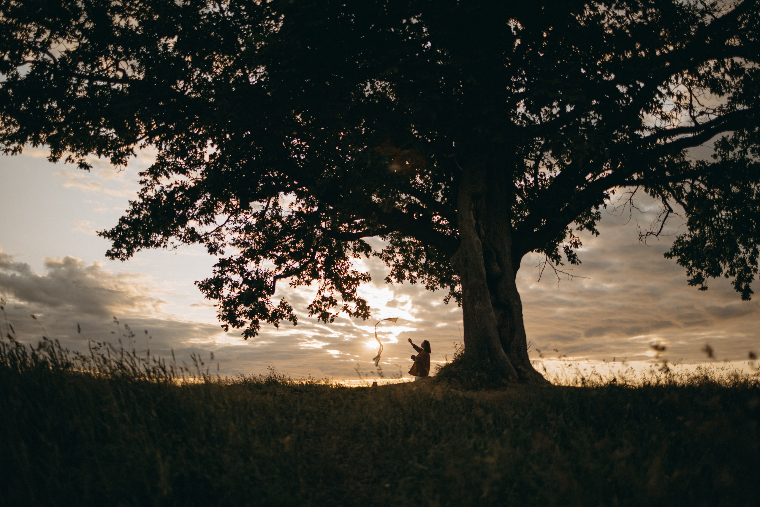 Анна и Максимус. Фотограф — Анималист | Санкт-Петербург