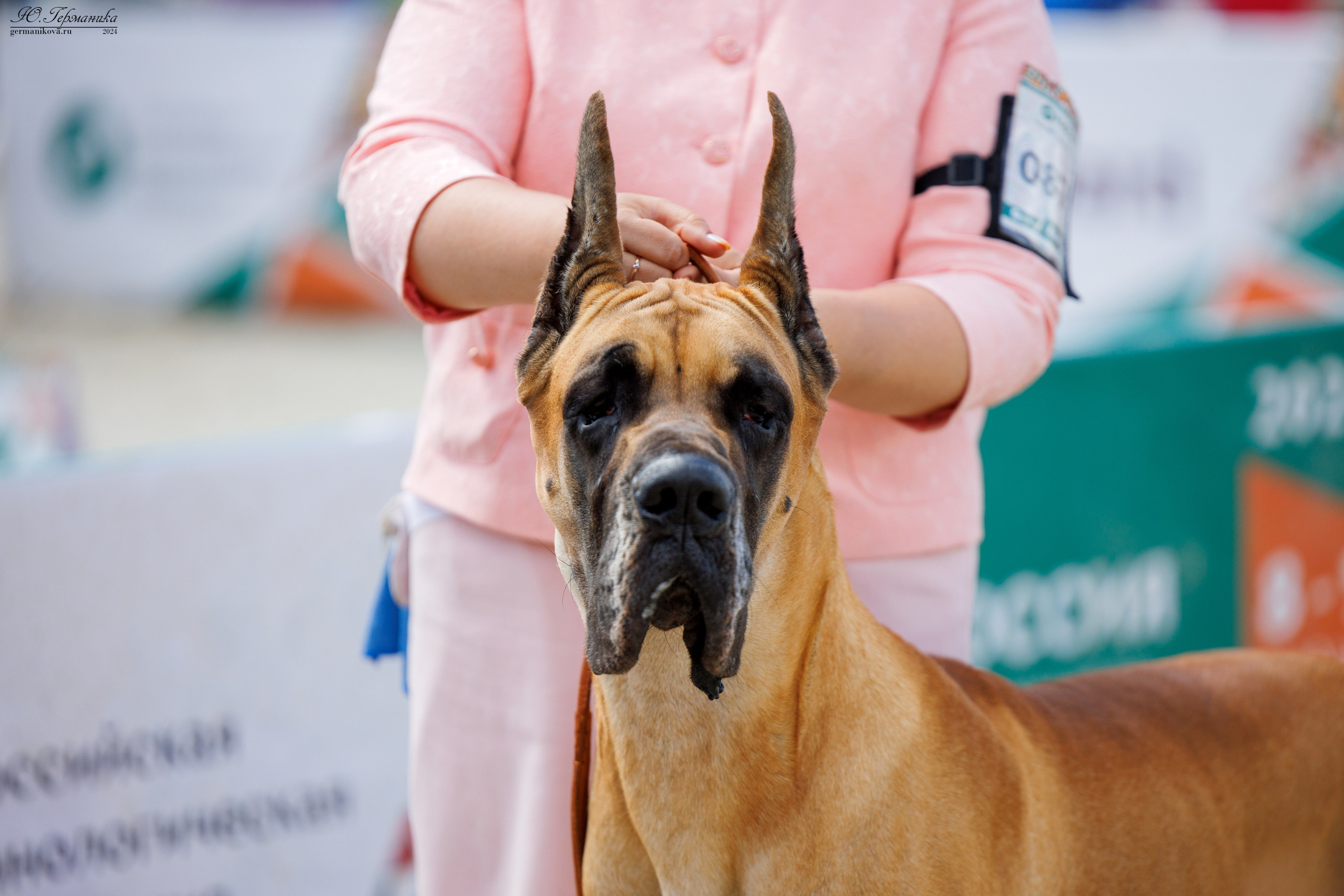 РОССИЯ 8-9.06.2024. Фотограф-анималист Юлия Германика
