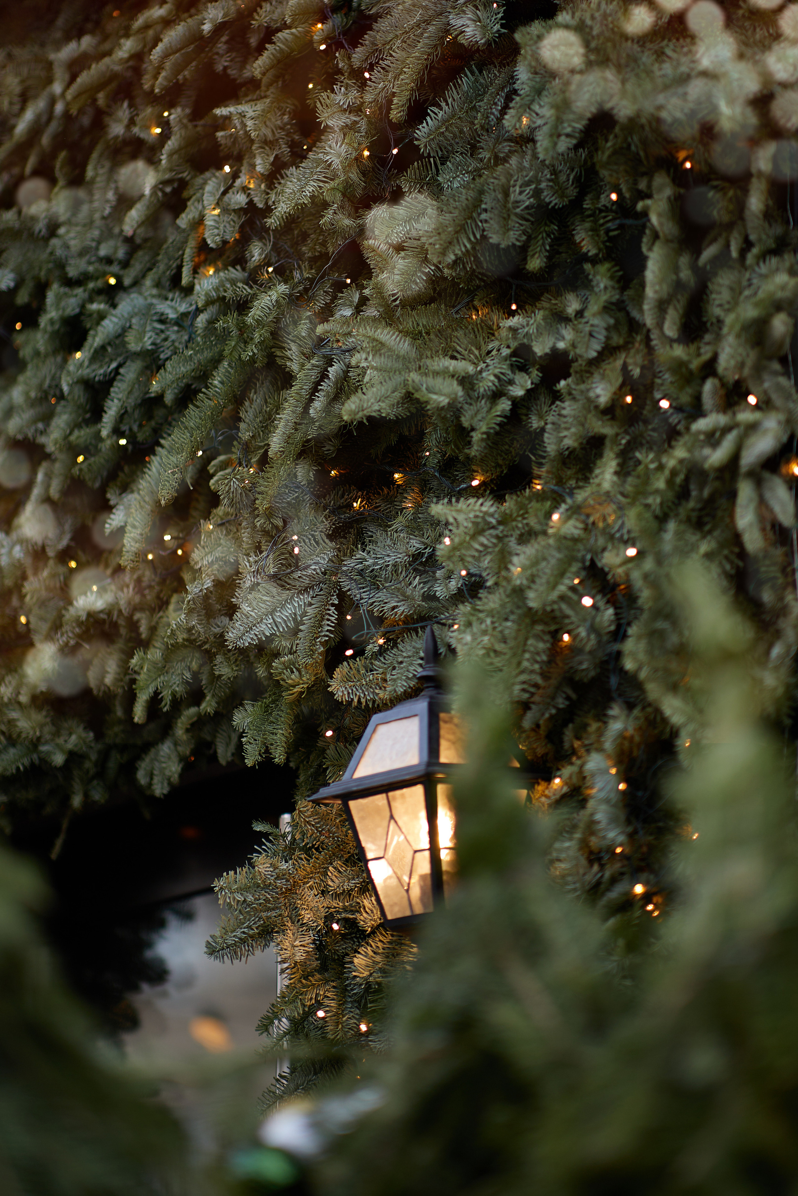 Свадебные фото в Красноярске. Свадебный и семейный фотограф в Красноярске Владимир Ятмасов