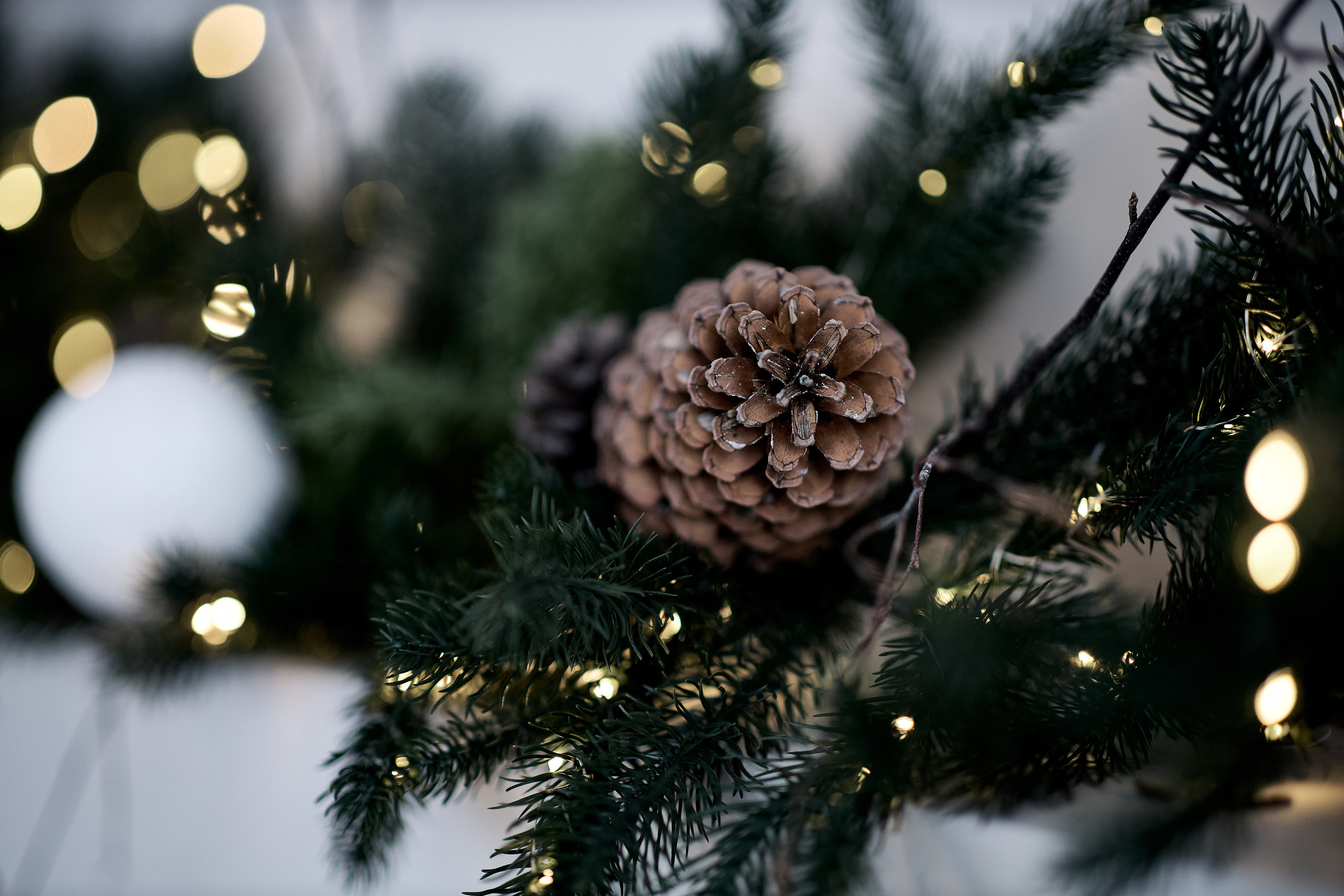 Свадебные фото в Красноярске. Свадебный и семейный фотограф в Красноярске Владимир Ятмасов