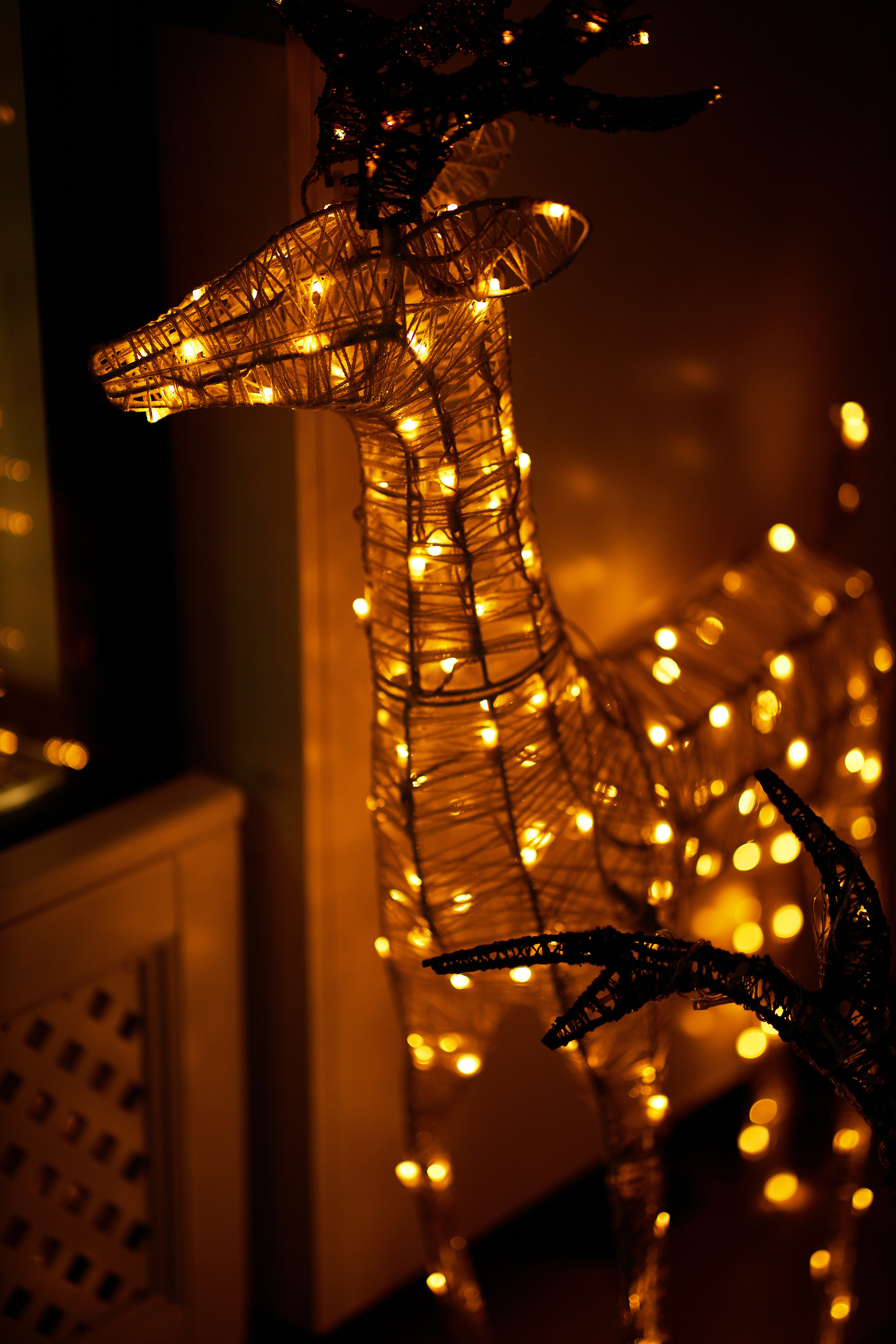 Свадебные фото в Красноярске. Свадебный и семейный фотограф в Красноярске Владимир Ятмасов