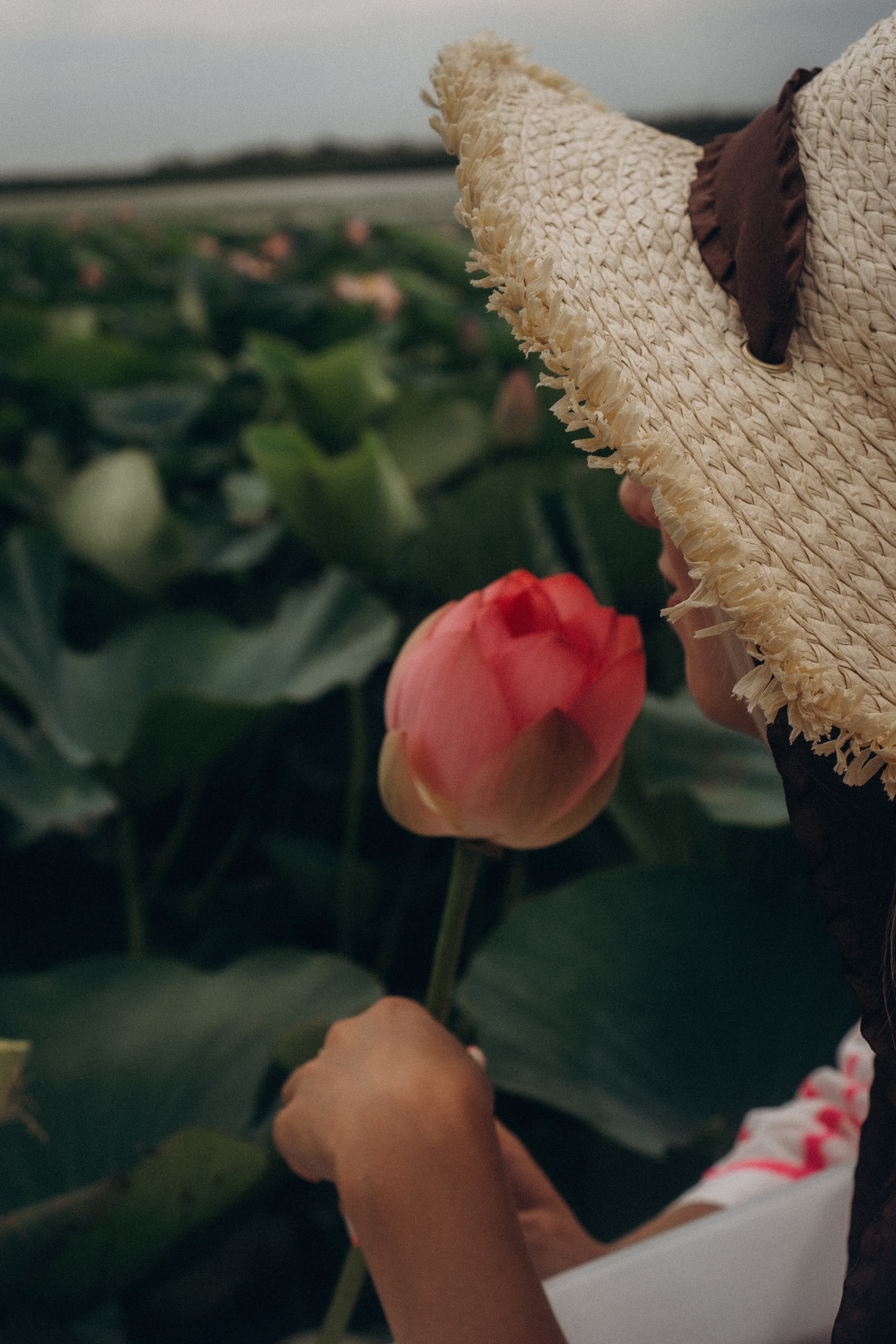 ЛОТОСОВАЯ ПОЛЯНА. Профессиональный фотограф, Санкт-Петербург — Виктория Богомолова