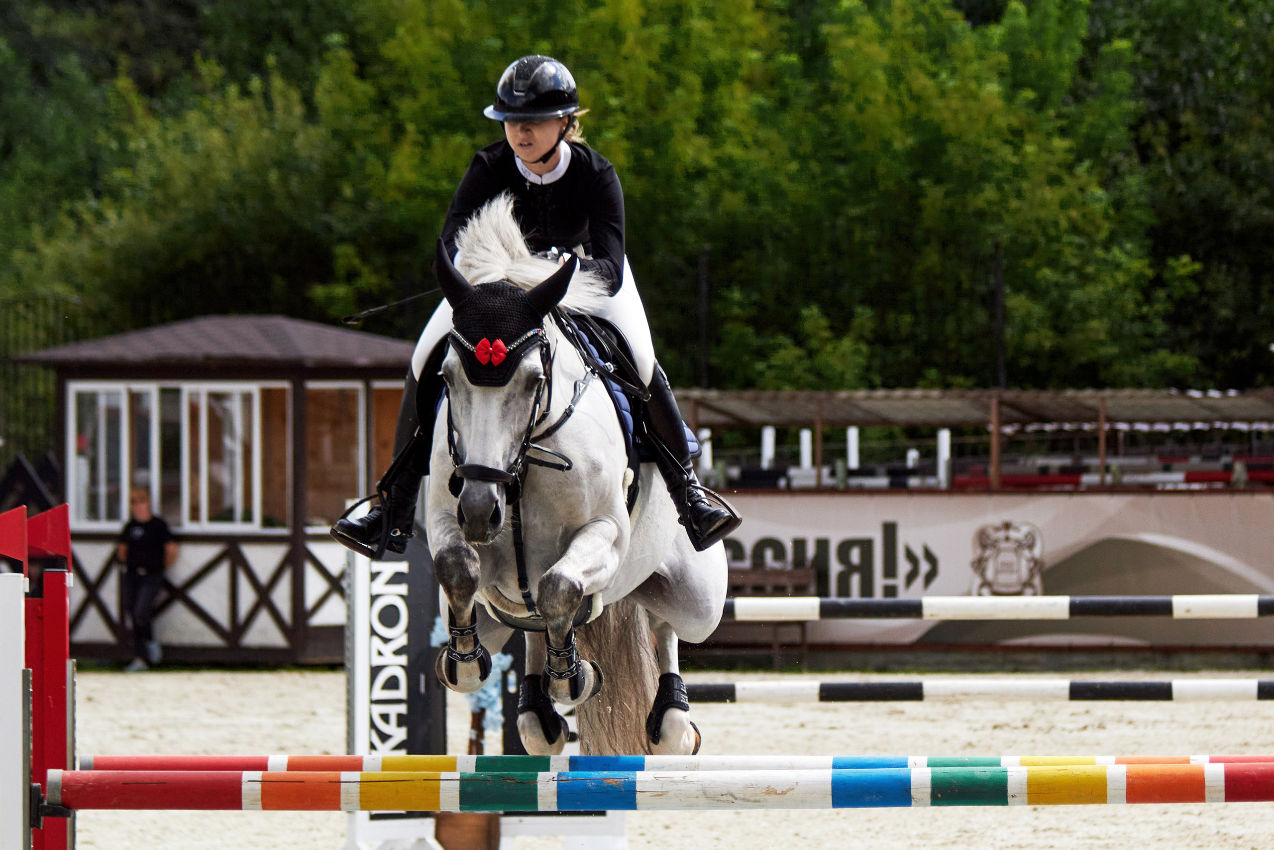 Конкур в «Виват, Россия». Фотограф анималист — Тула, Москва