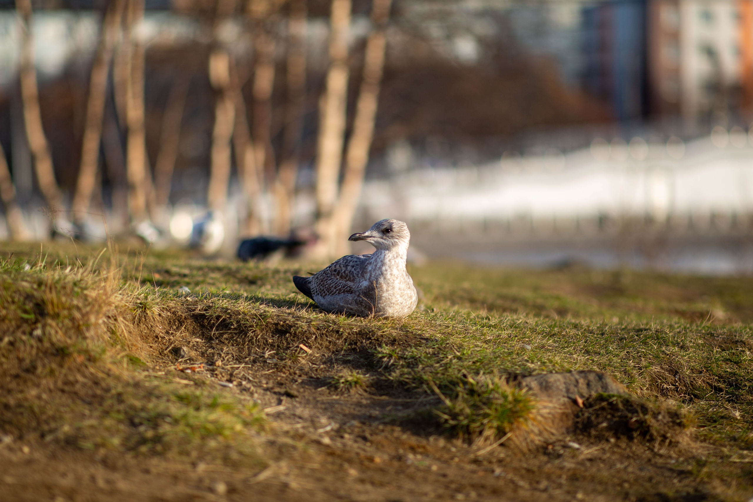 Мурманск. Репортажный и портретный фотограф Михаил Мартиросян