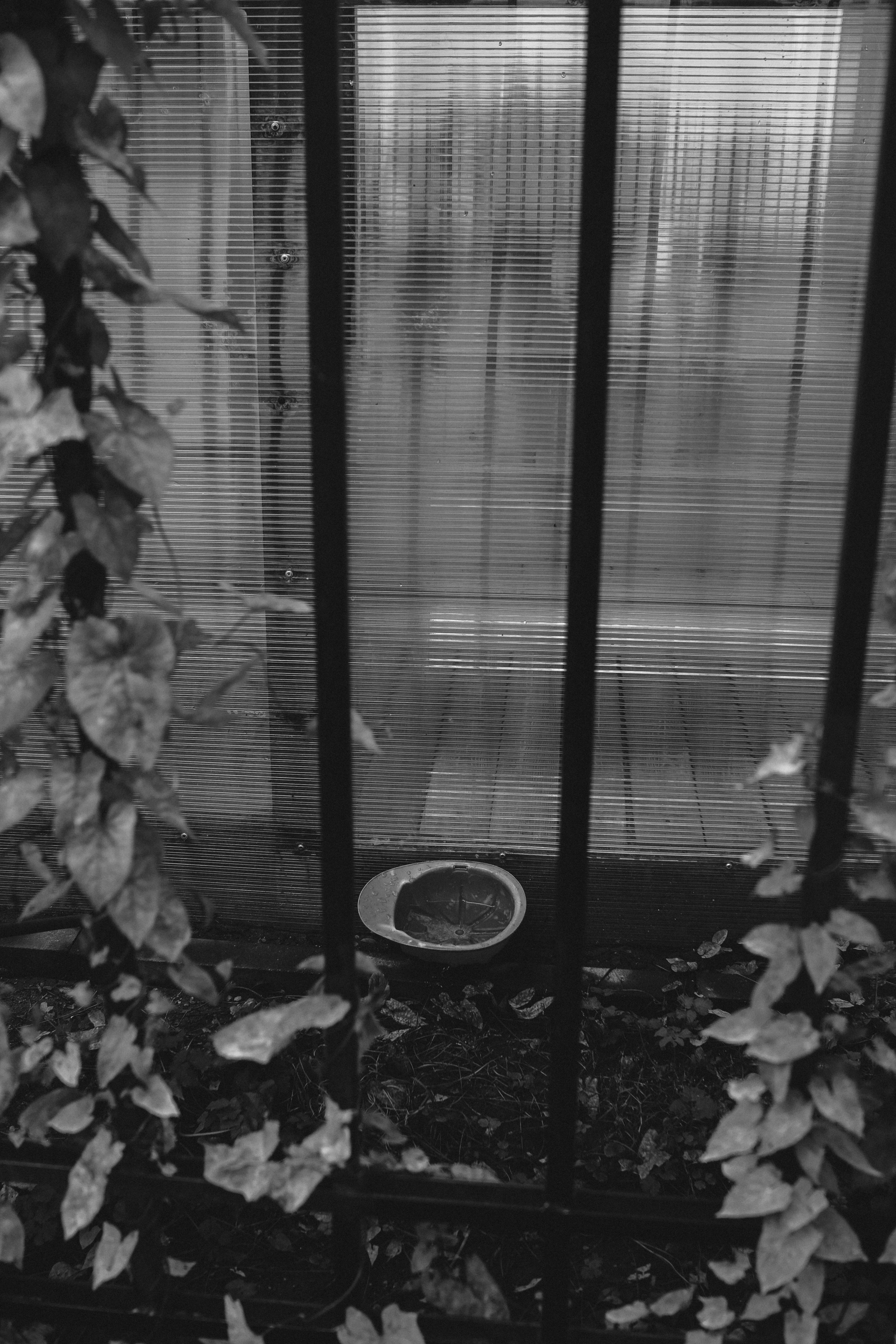 Город оживает. Портретный фотограф DanilNabody