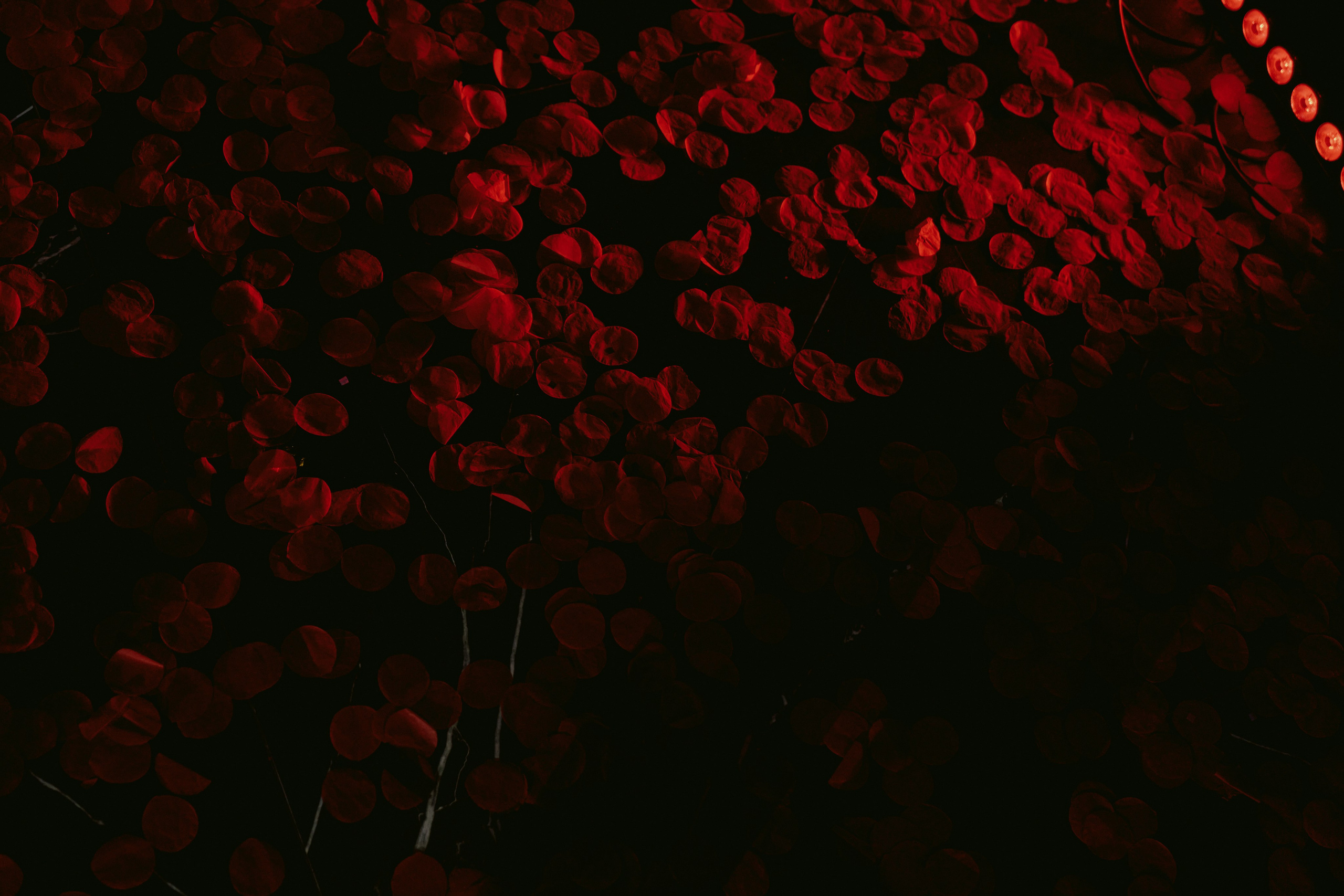 75 лет День Рождения. Свадебный фотограф в Ростовe-на-Дону Анастасия Прутова