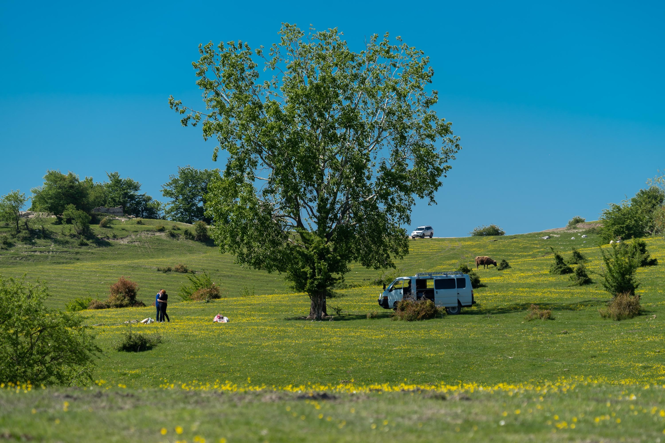 Путешествия и пейзаж. Репортажный фотограф в Красной Поляне и Сочи Павлюченко Екатерина