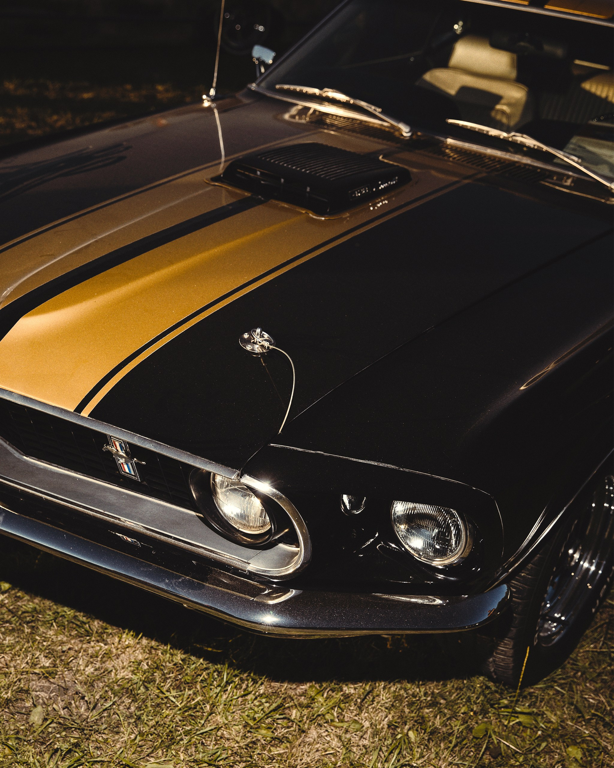Ford Mustang 428 Cobra
