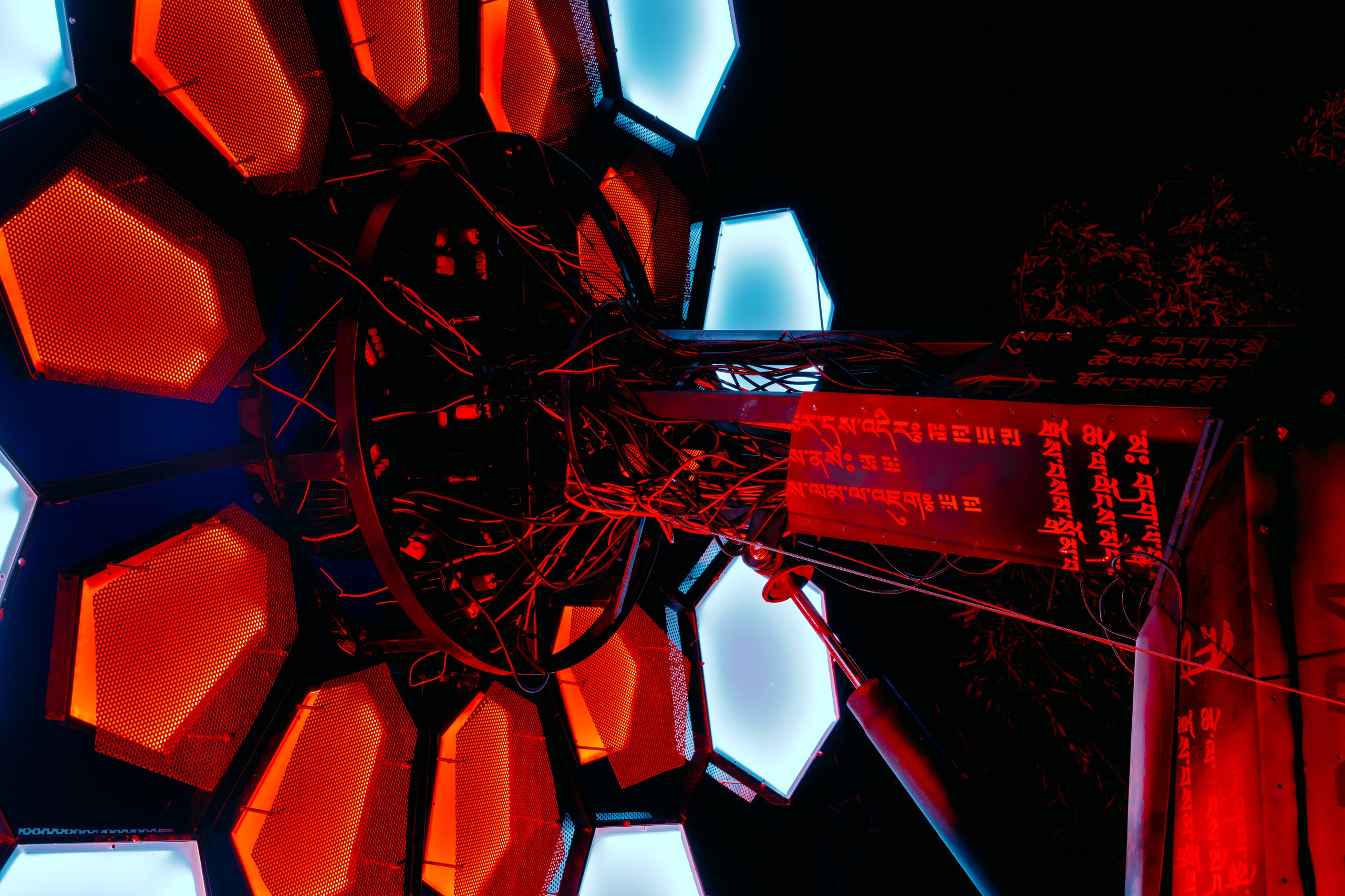 PANTERRA, Cyber Flower. @tomrus: Рустам Шагиморданов — фотограф