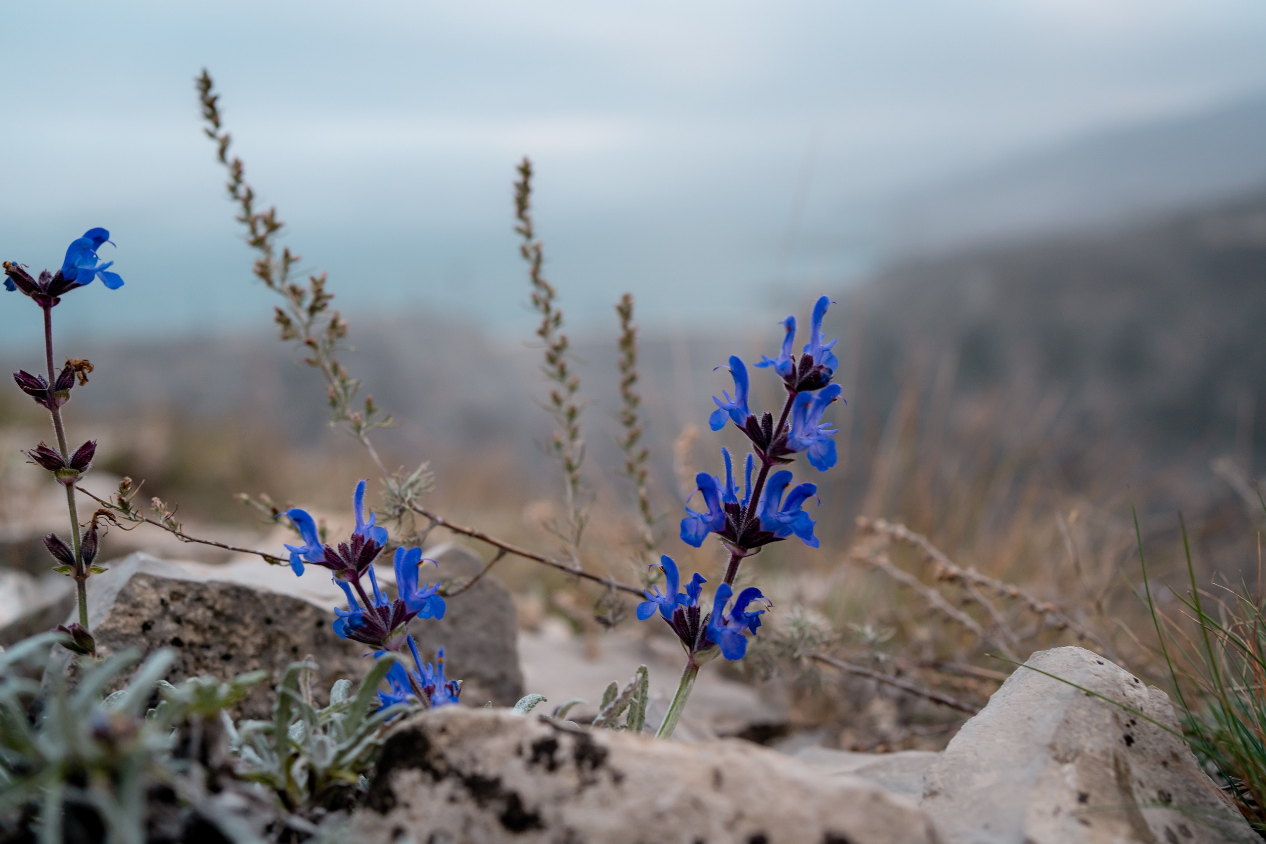 Дагестан. Семейный фотограф Варвара Сорока в городе Москве