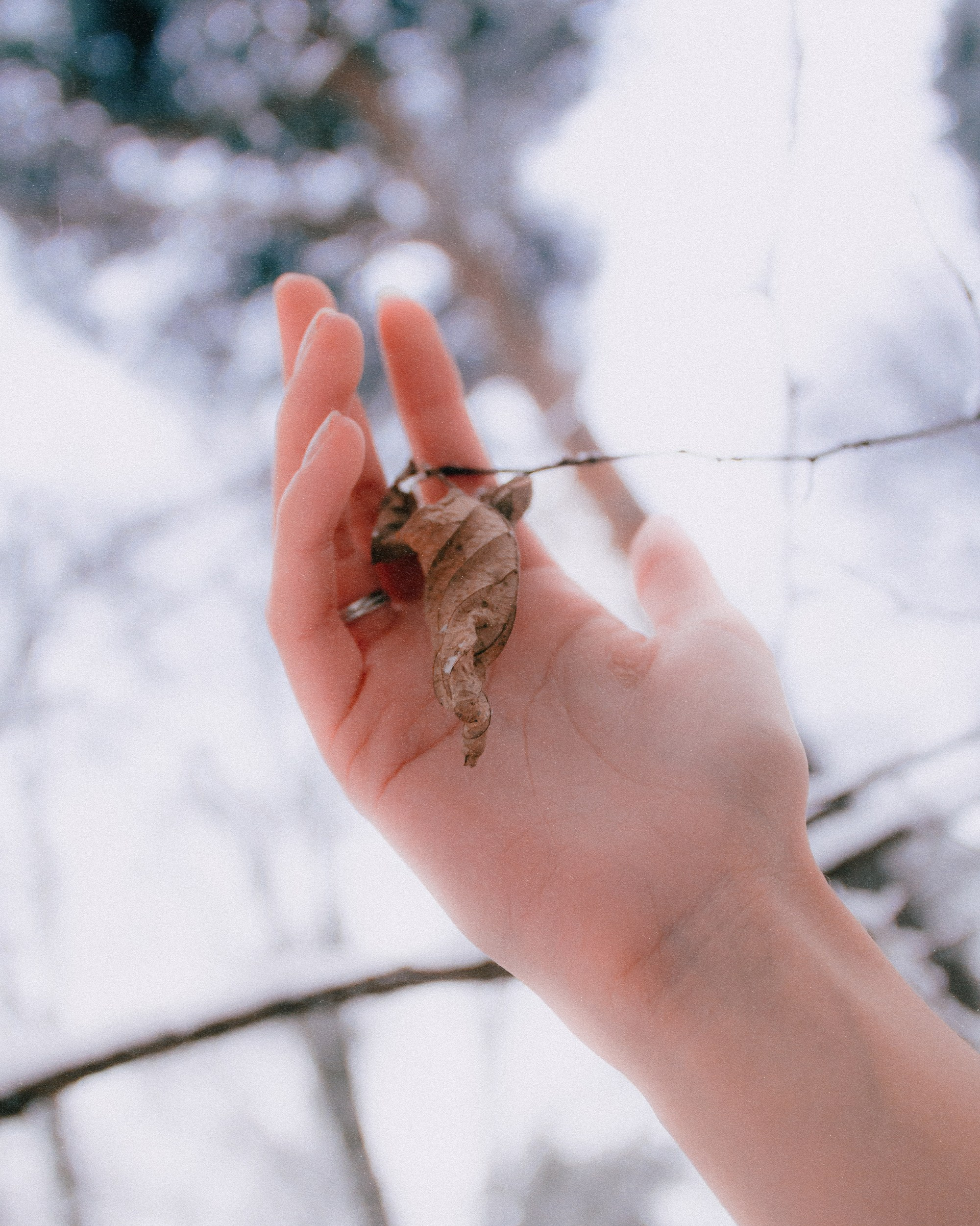 Попу морозили. Фёдор Малюгин. Ваш бади в визуале
