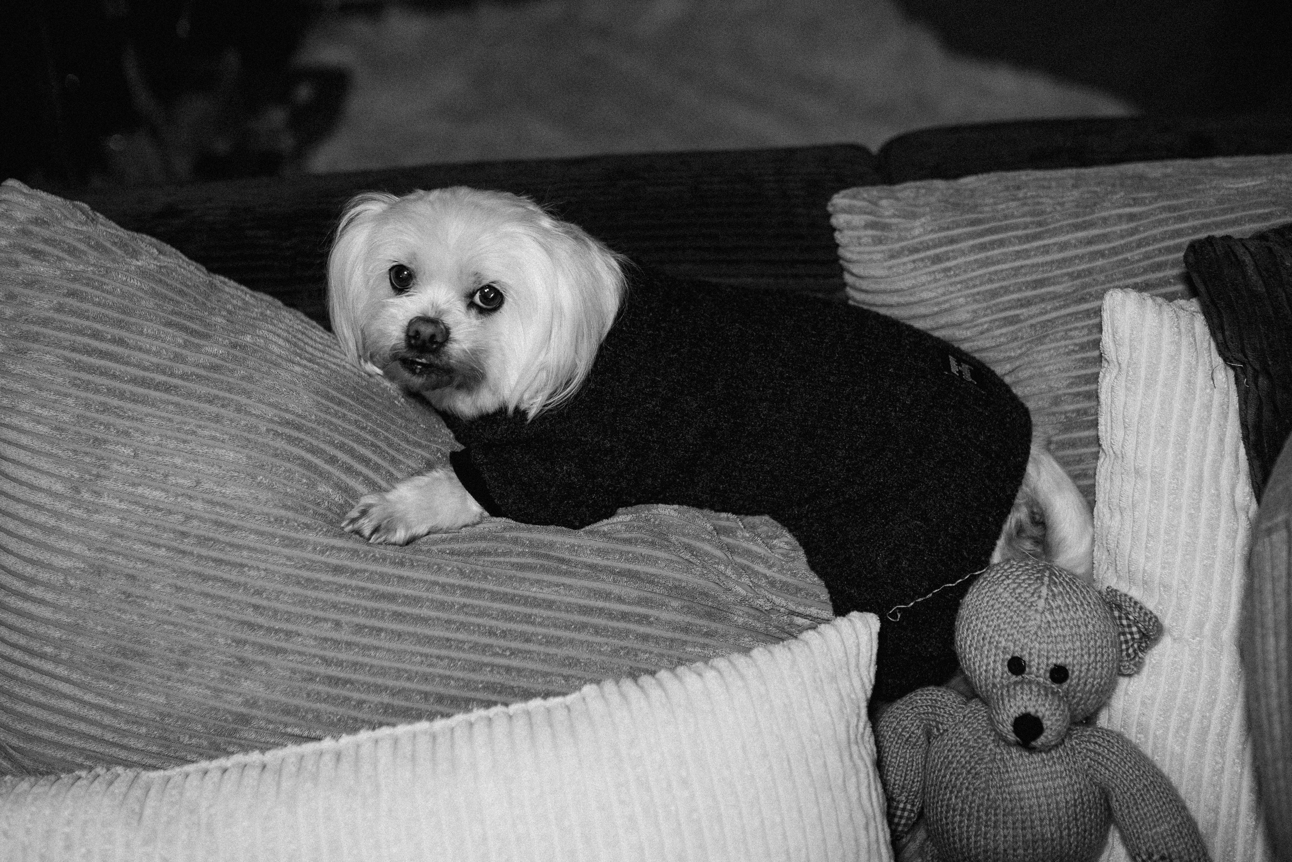 Family time. Фотограф Трифон Мира