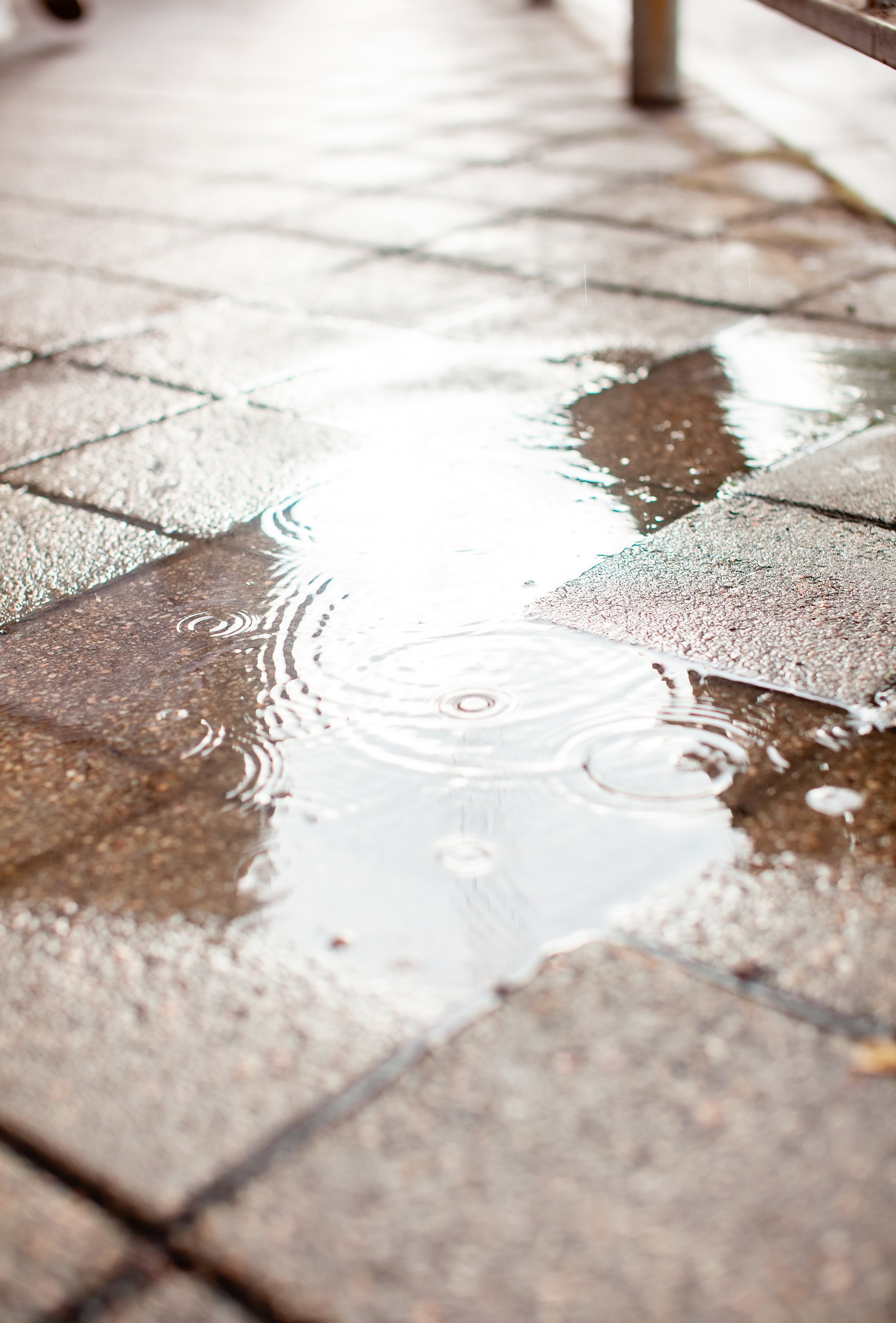 Скейт. Свадебный, семейный фотограф