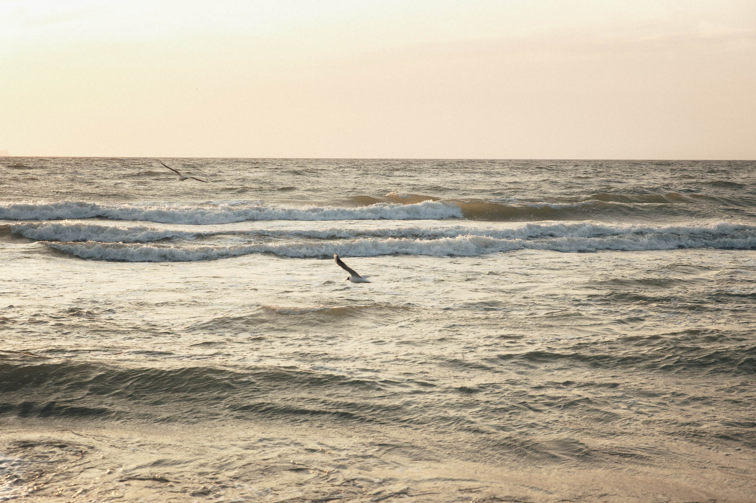 Семья в Малиновке. Фотограф Калининград Илья Миллер