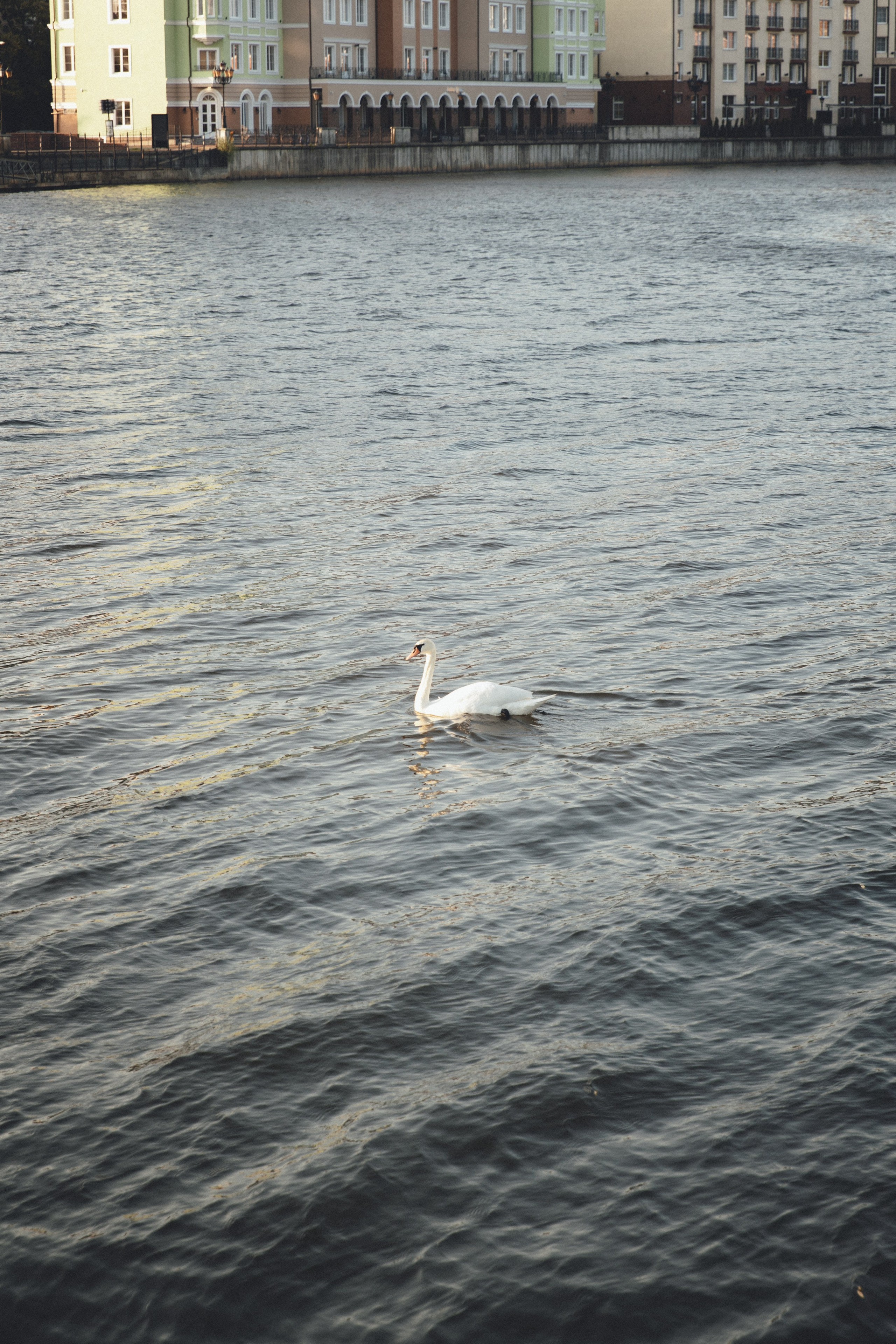 Андрей и Юля / Кант 5 утра. Фотограф Калининград Илья Миллер