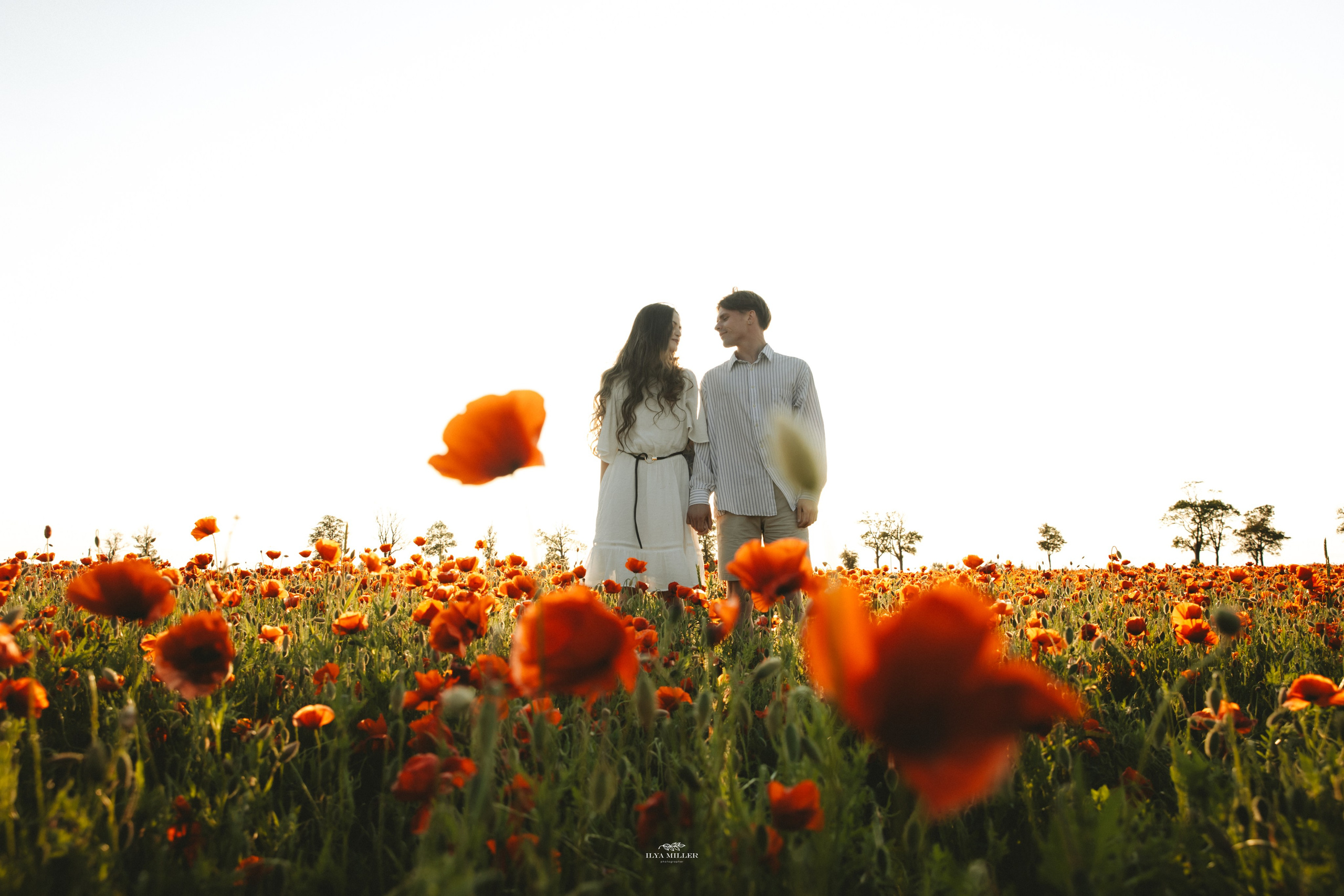 Дина и Влад / Маковые поля. Фотограф Калининград Илья Миллер