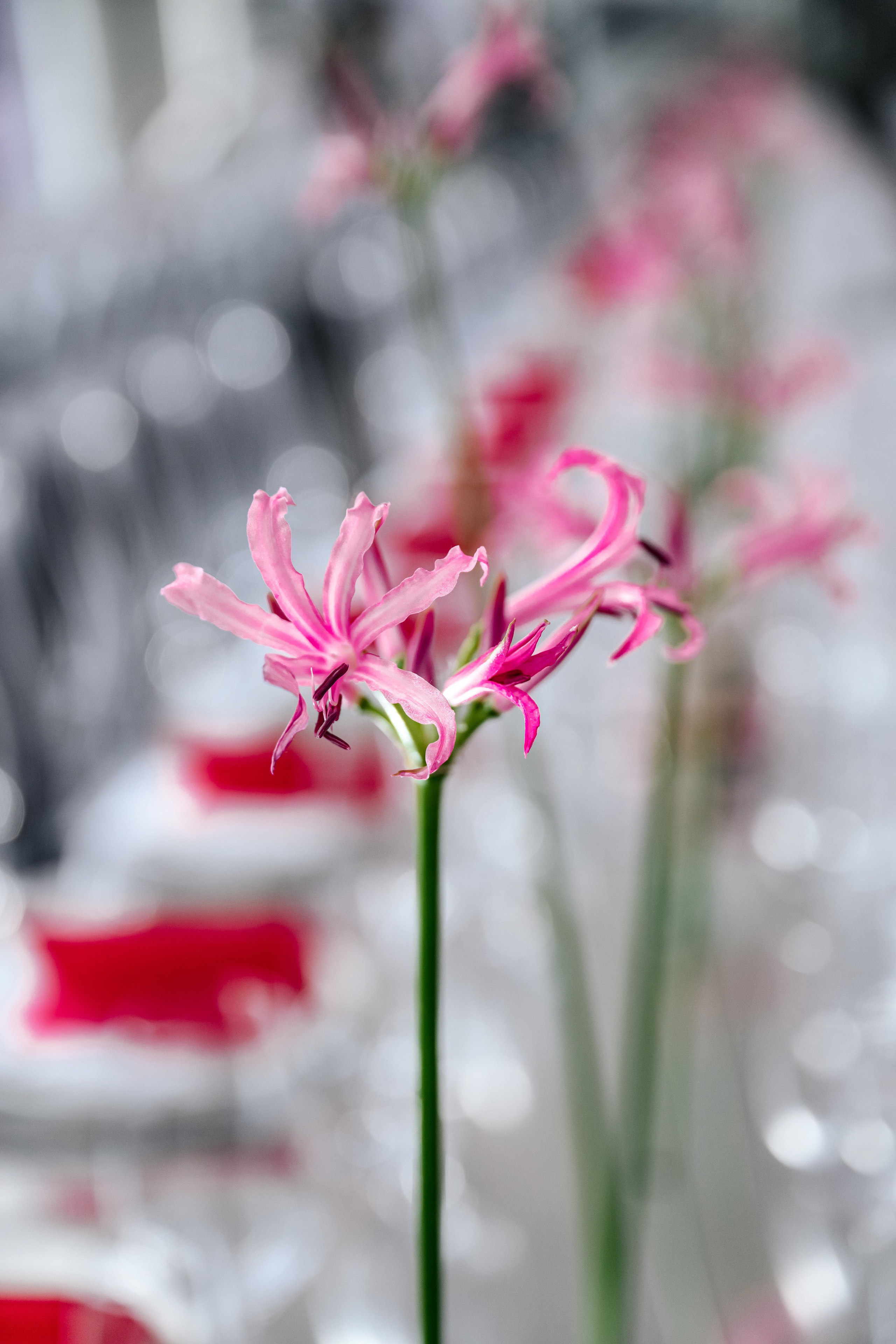 INNOPROM. Максим Комаров — Профессиональный фотограф