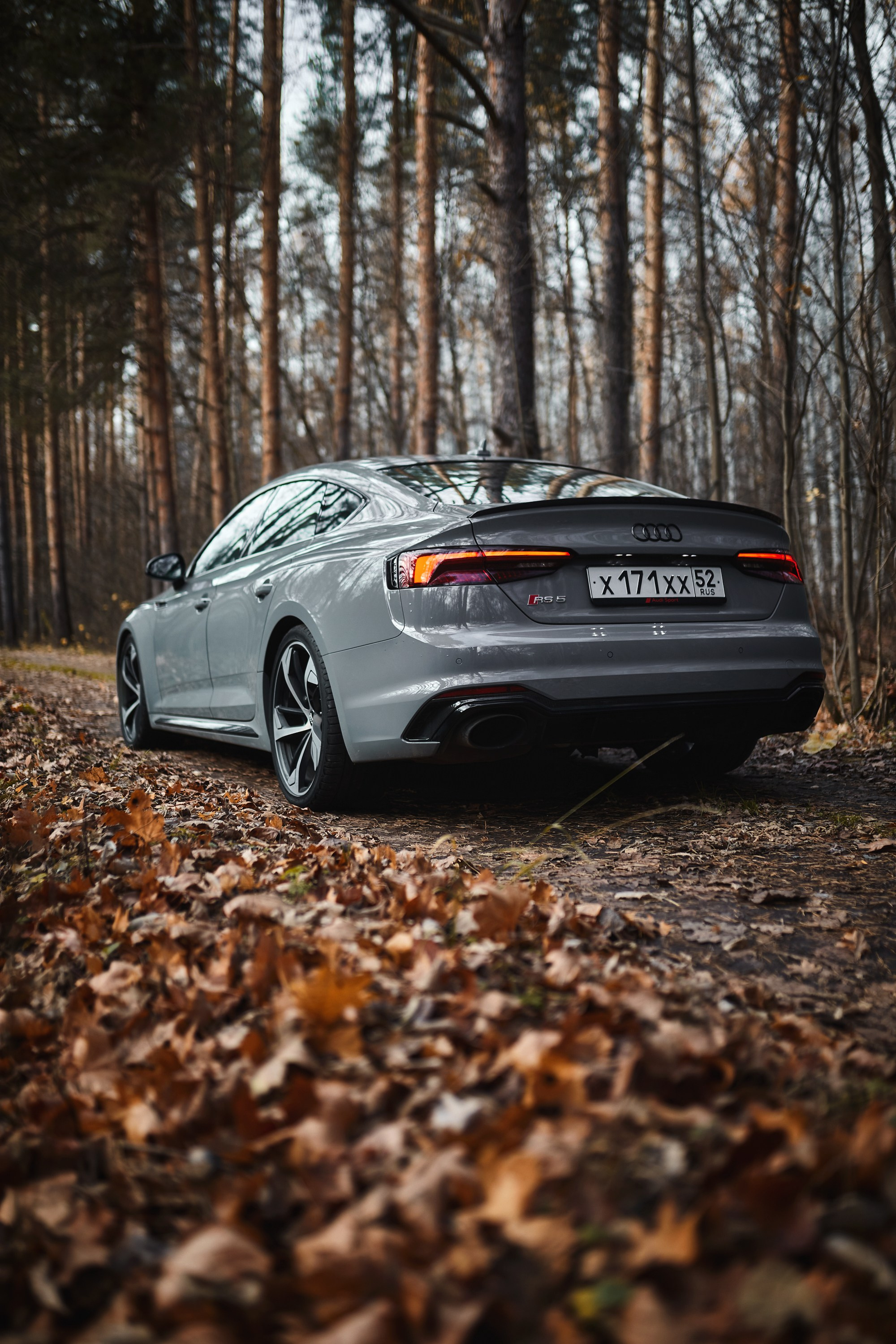 Audi RS5. DKARPOCHEVA PHOTOGRAPHY
