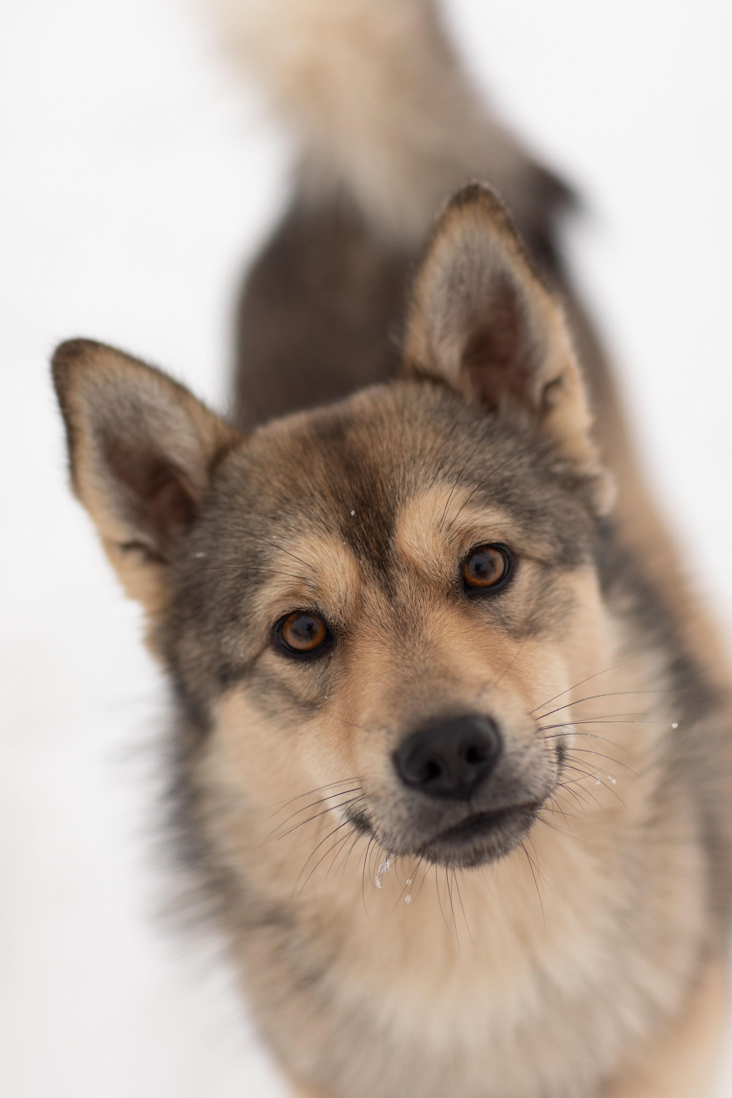 Фототур «Край озер» Зима. Семейный фотограф в Москве Анастасия Гурьянова