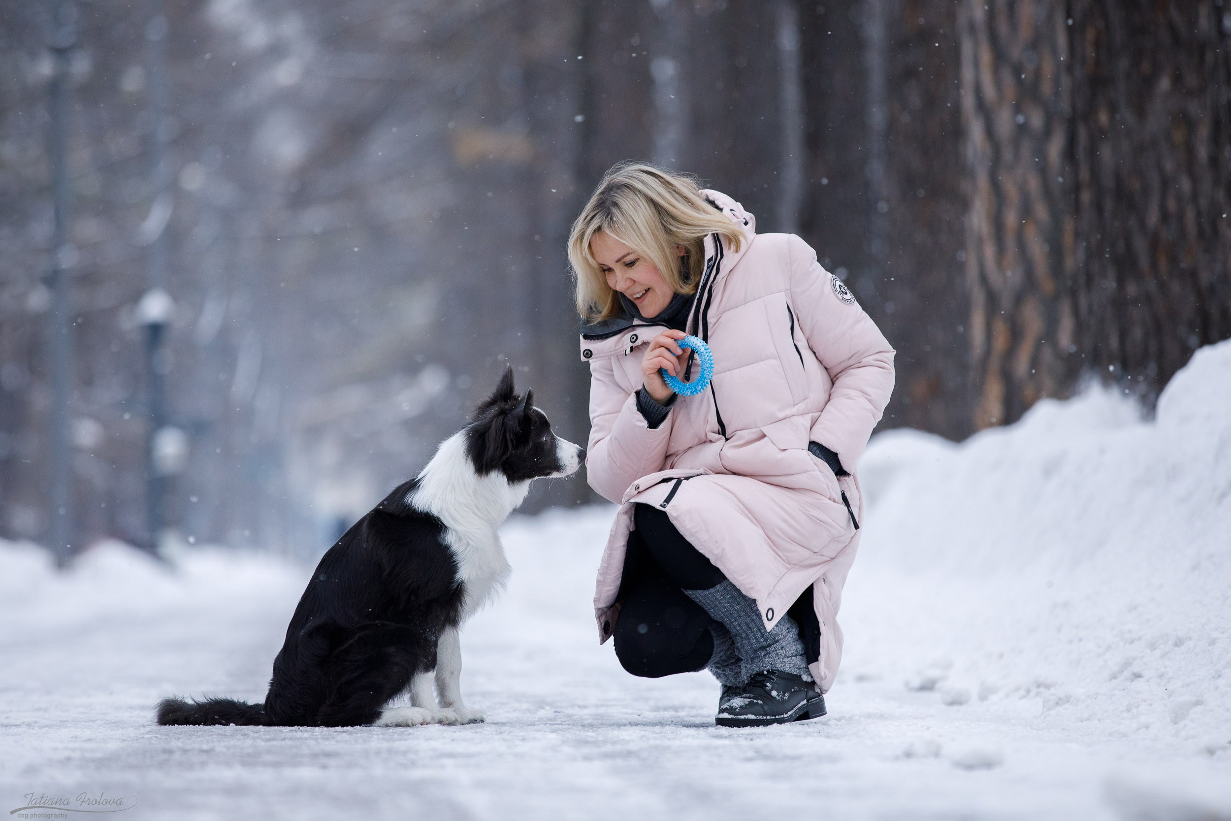 Фотосессия бордер-колли в парке. Фотограф-анималист в Москве и Московской области Татьяна Фролова