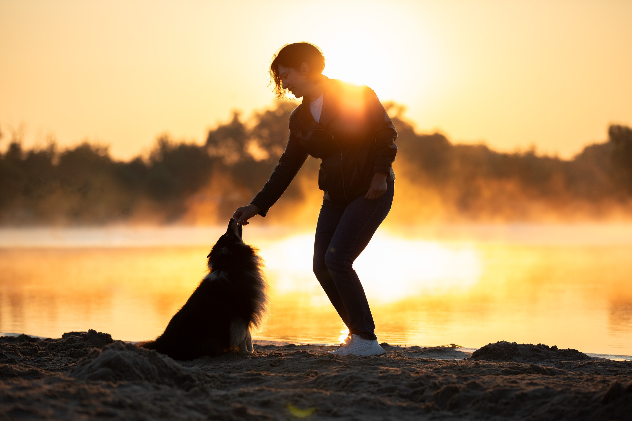Съемка с шелти на рассвете на песчаном карьере. Фотограф-анималист в Москве и Московской области Татьяна Фролова