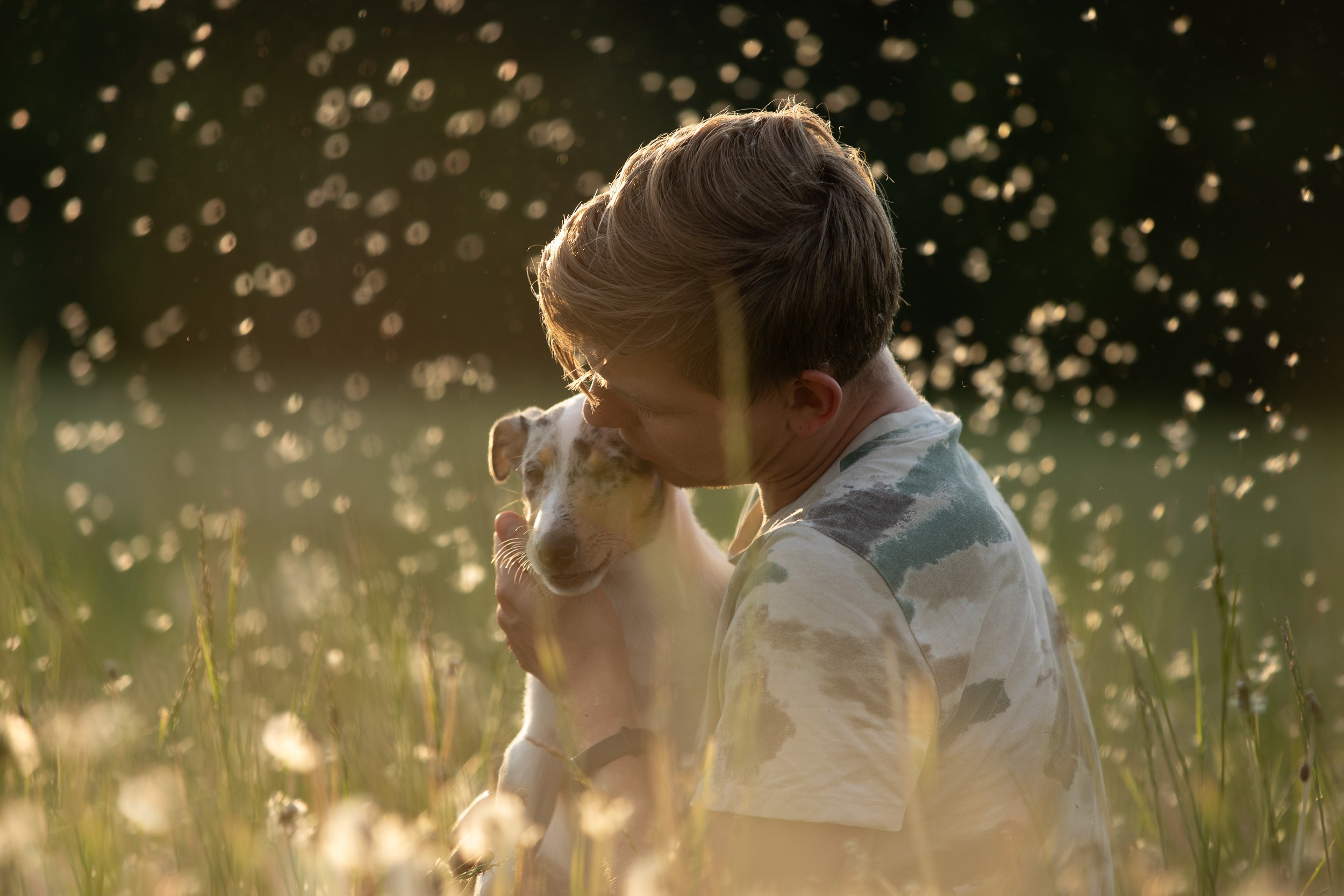 Щенок короткошерстной колли в 3 месяца на прогулке в поле. Фотограф-анималист в Москве и Московской области Татьяна Фролова