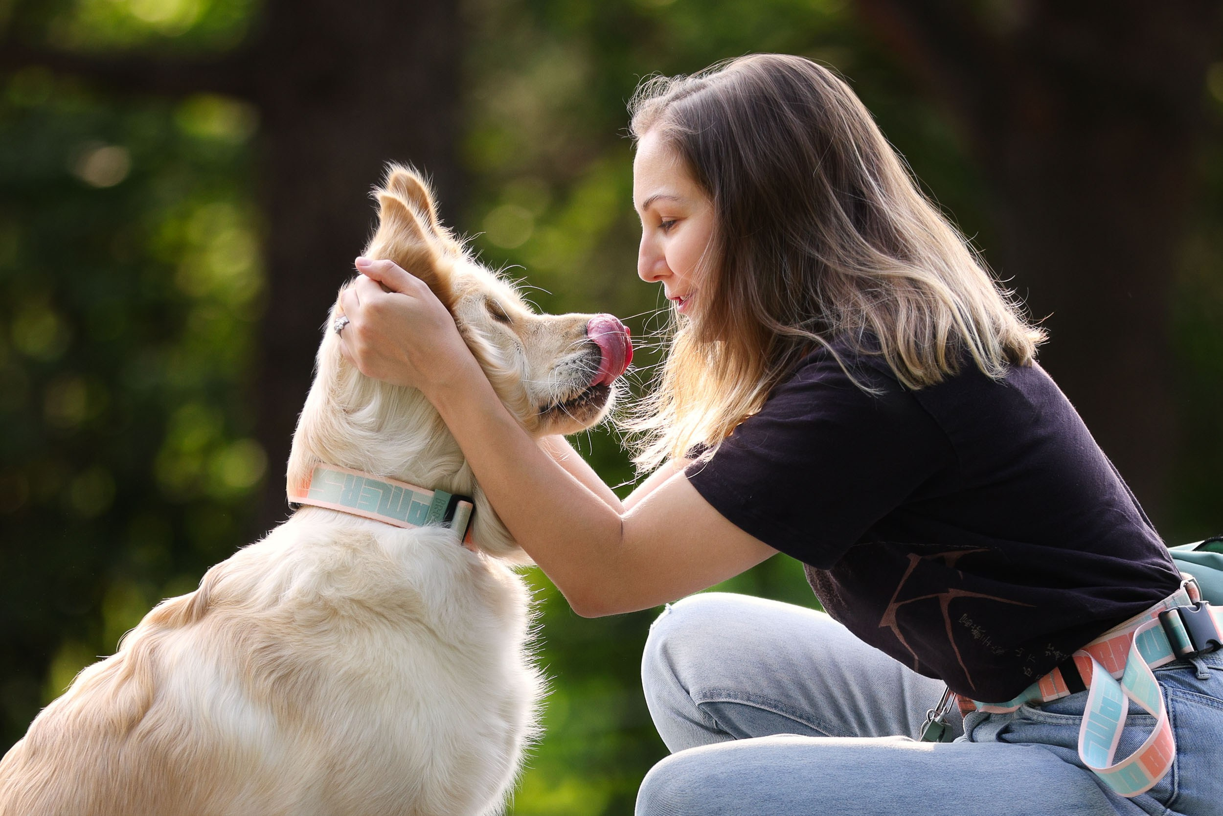 Фотопрогулка для четырех человек с собаками. Фотограф-анималист в Москве и Московской области Татьяна Фролова