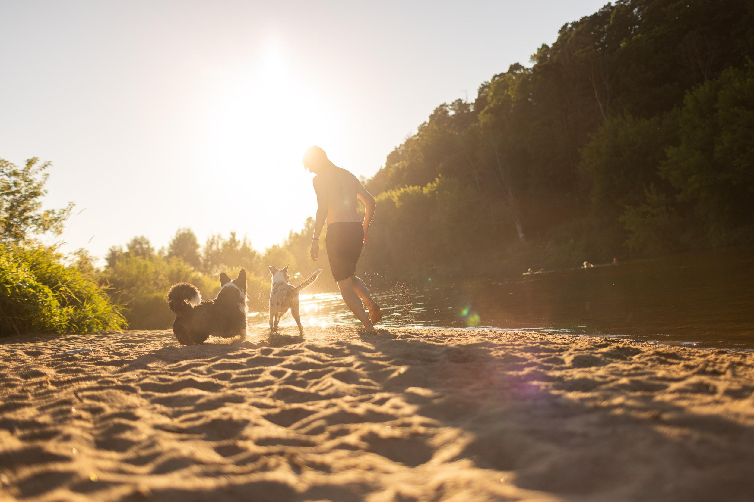 Купание щенков в стиле лайфстайл. Фотограф-анималист в Москве и Московской области Татьяна Фролова