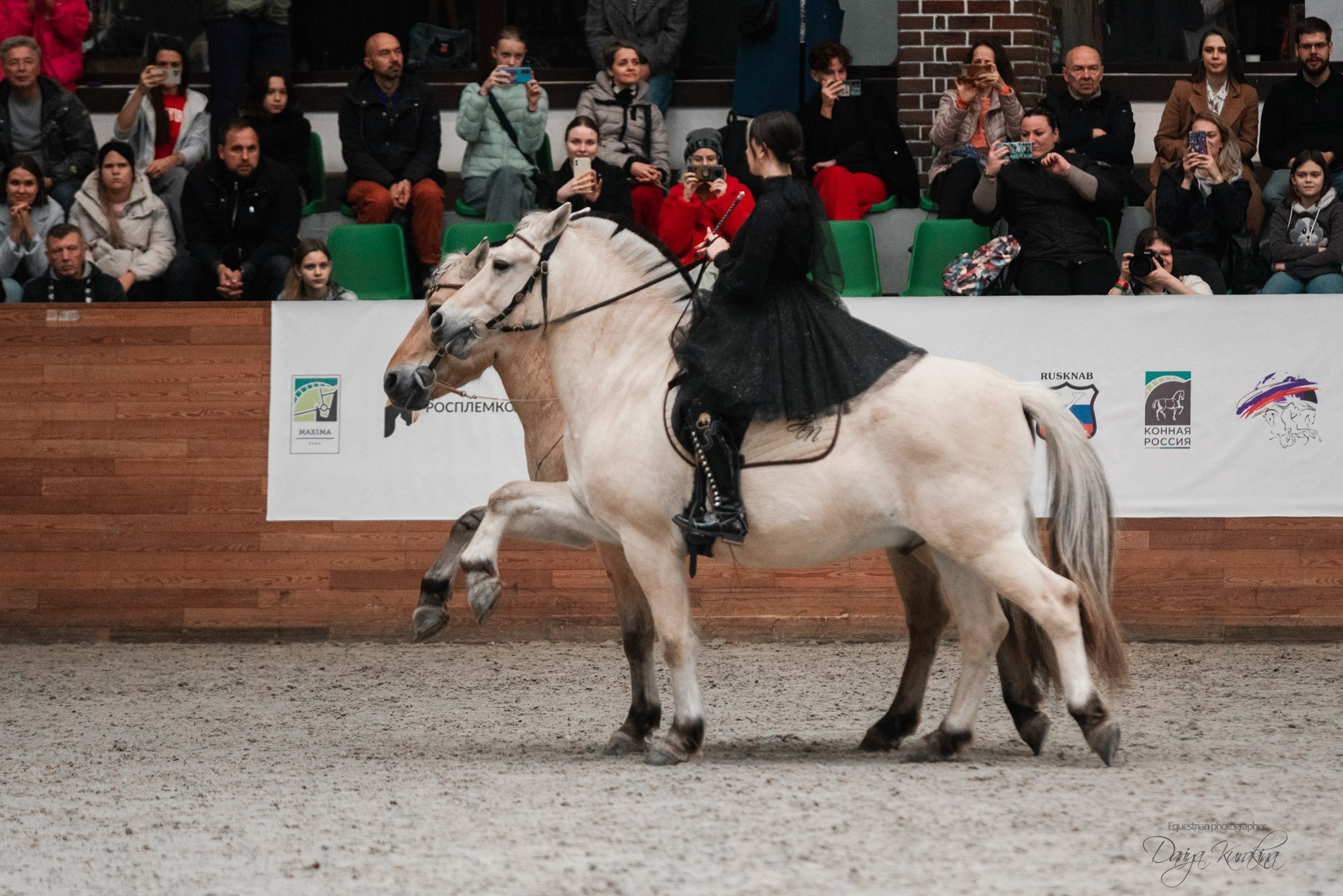 8-я международная выставка Конная Россия. Конный фотограф Куракина Дарья • Фотосессии с лошадьми