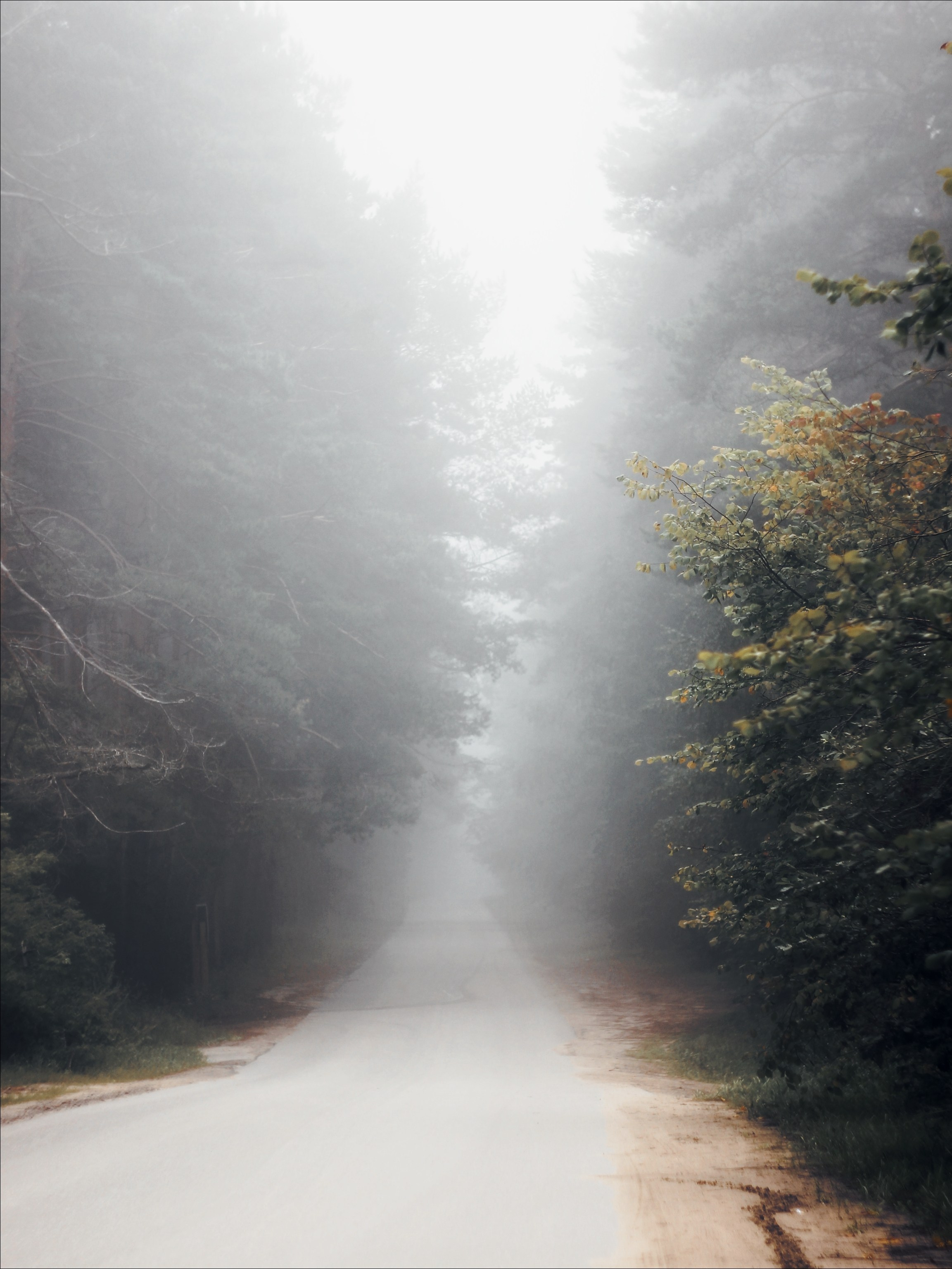 Меланхолия августа. С любовью, фотохудожник