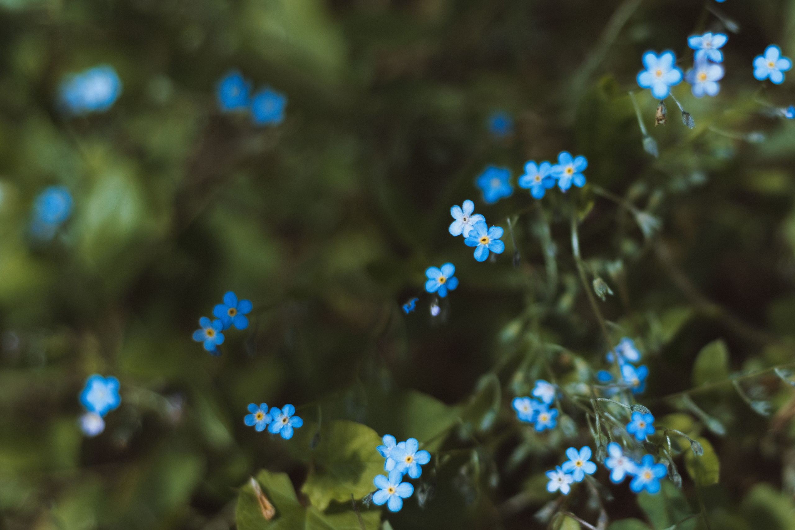 Семейный и свадебный фотограф в Волгограде Наталья Орина
