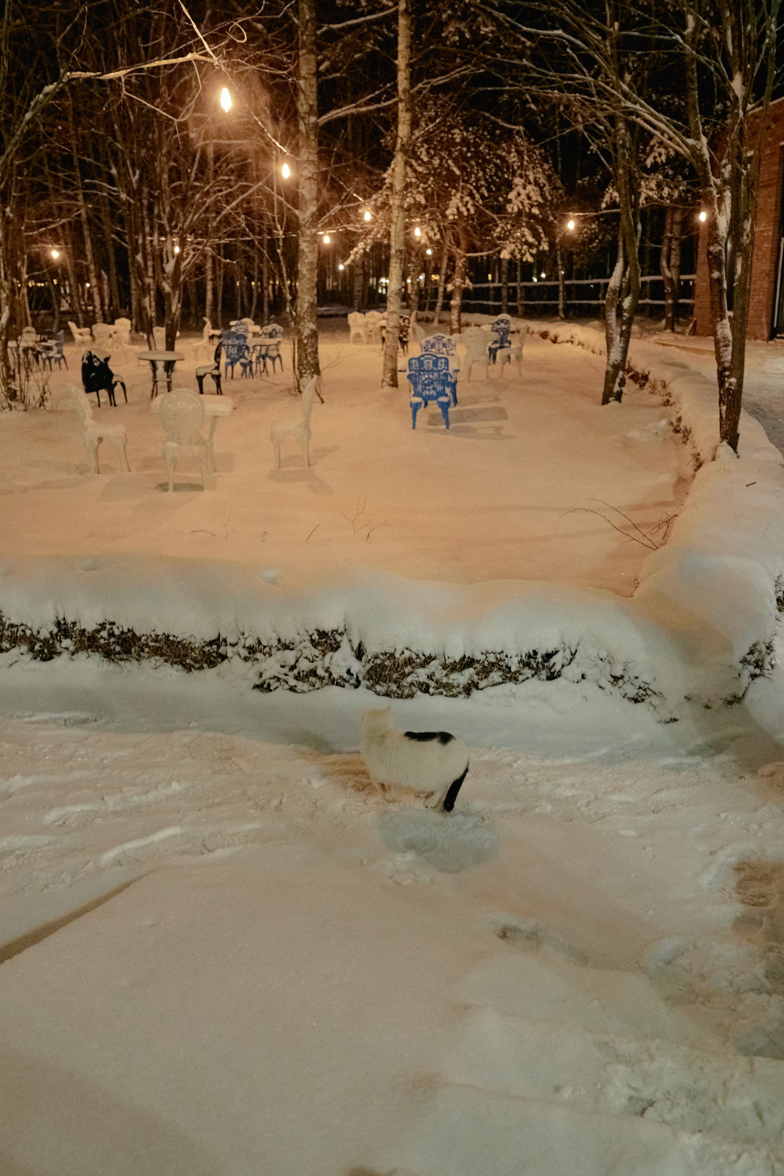 Бутик-отель Поле зимой. Профессиональный Фотограф во Владимире, в Москве и в Суздале — Полина Романычева