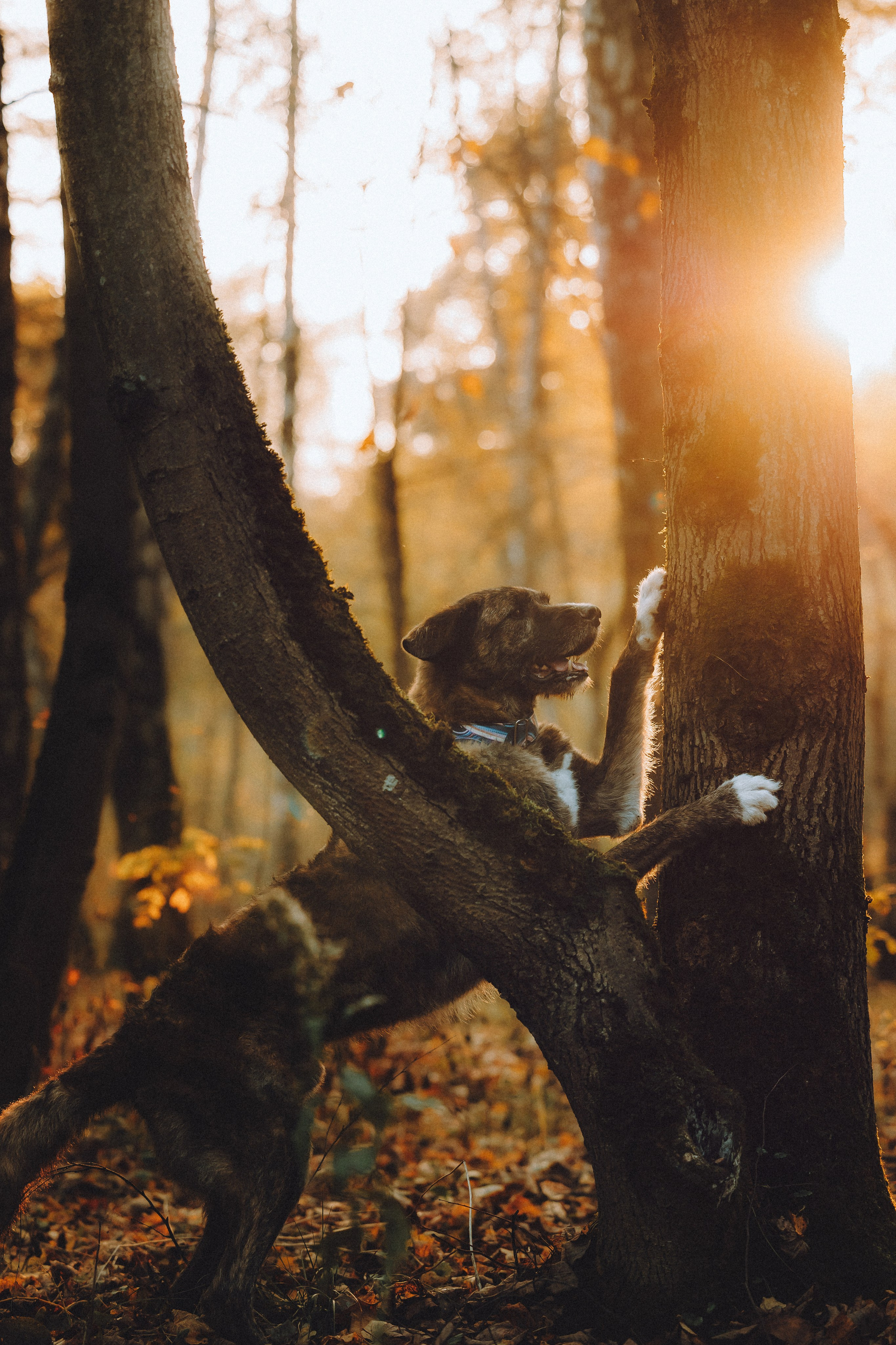 Рик, Джек и их семья