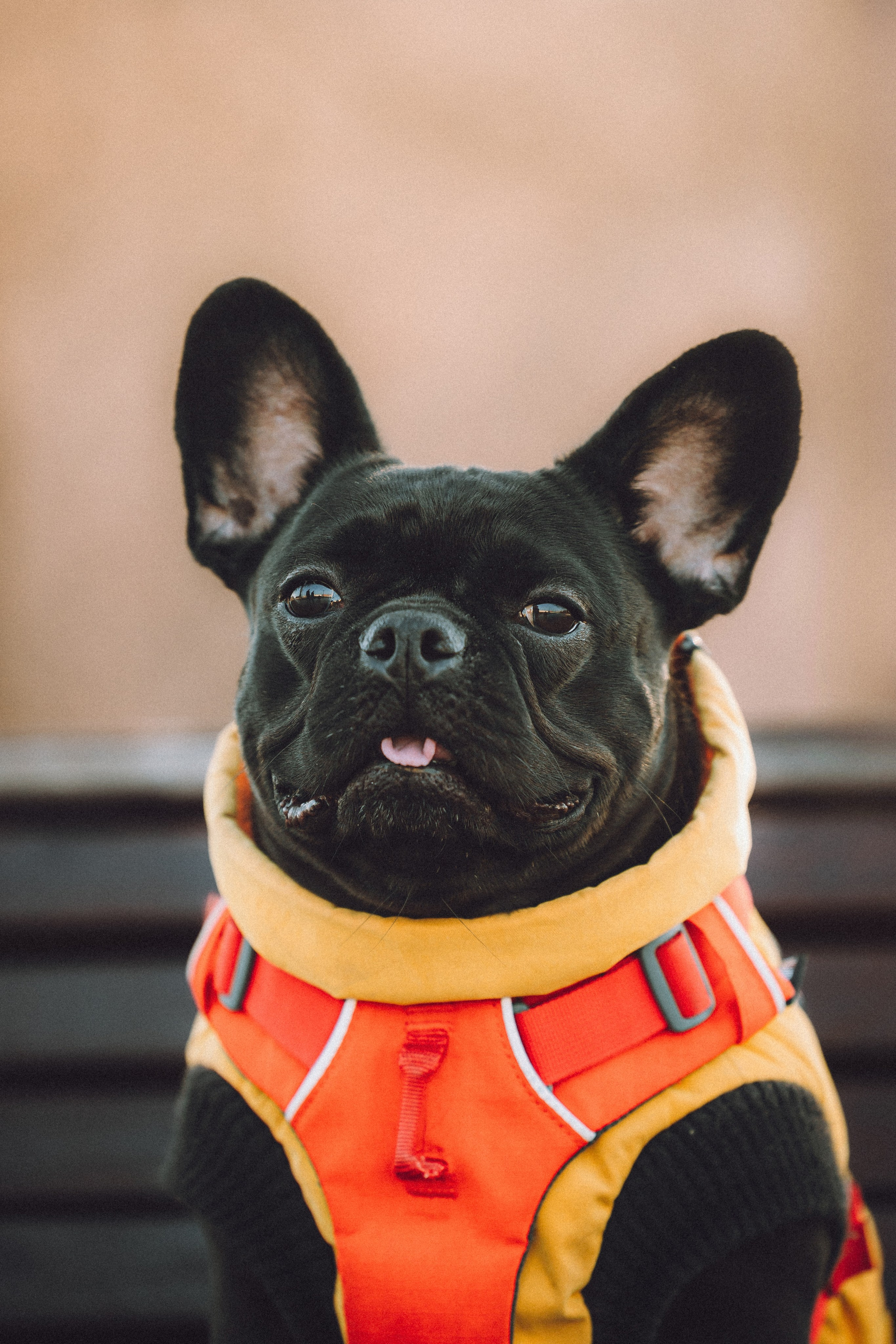 Саша, Дима и Шпуля