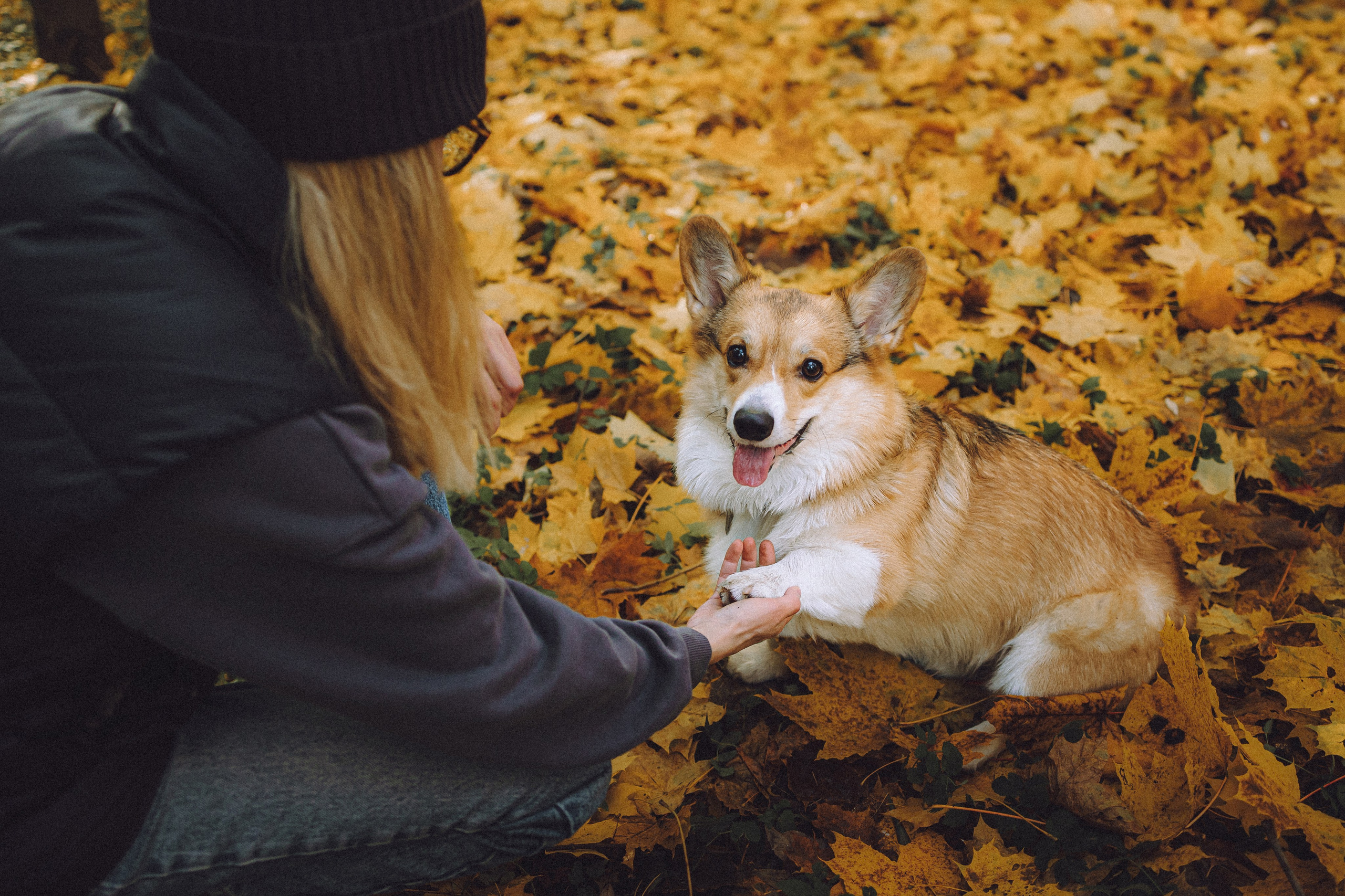 Карина, Даня и Аркаша