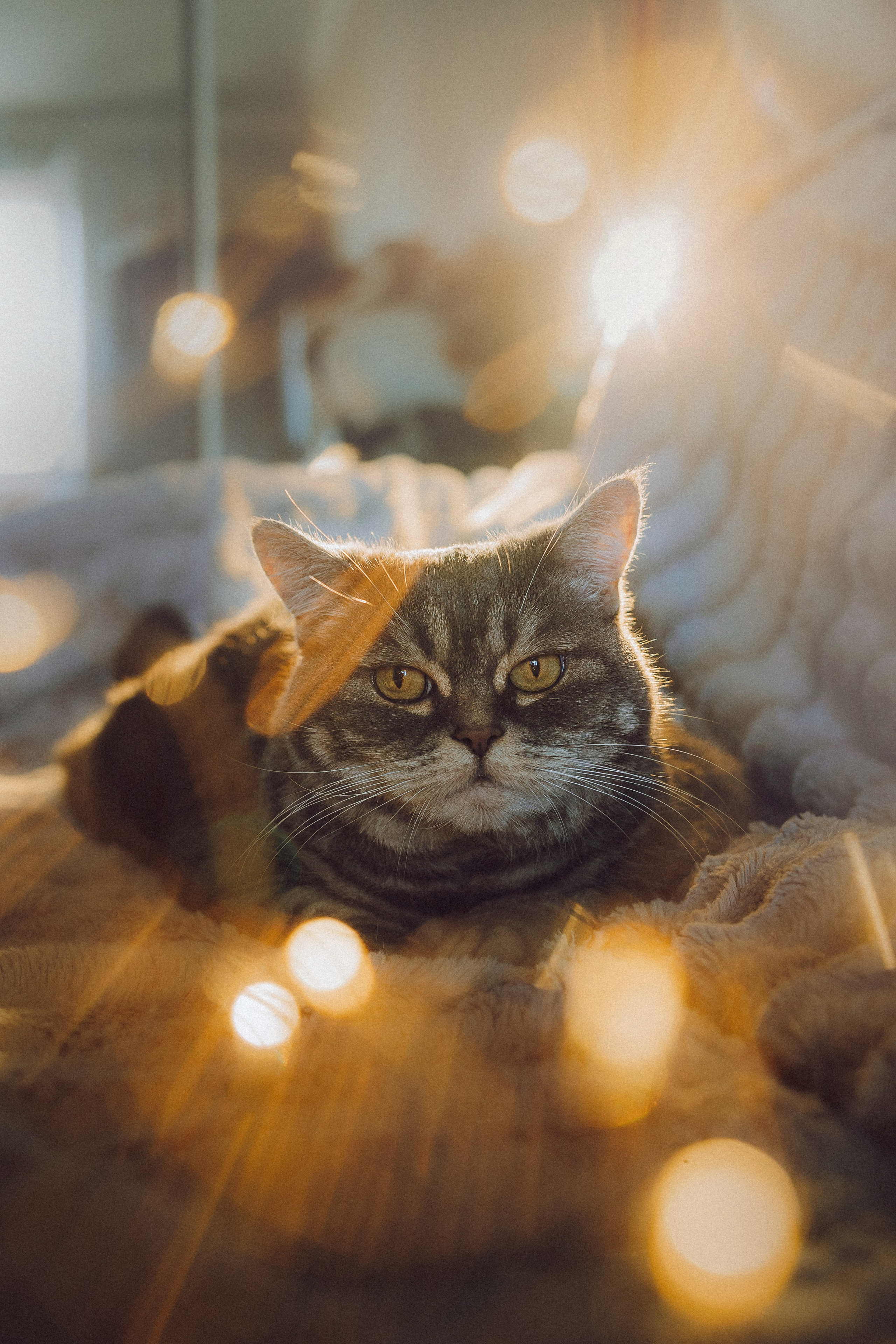 Яся и ее семья