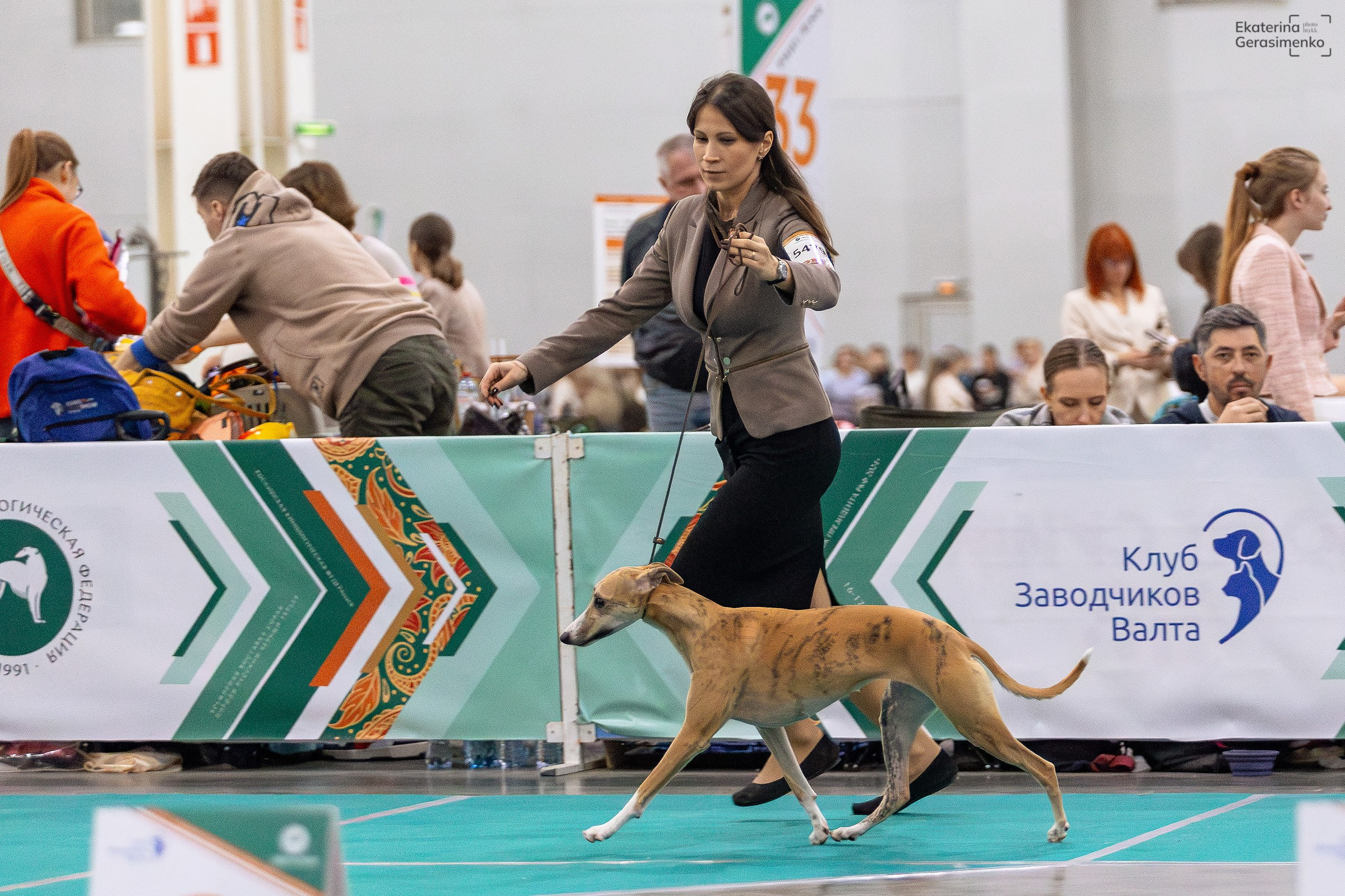 16–17 ноября 2024, Выставка ЕВРАЗИЯ, г. Москва. Htykk_photo