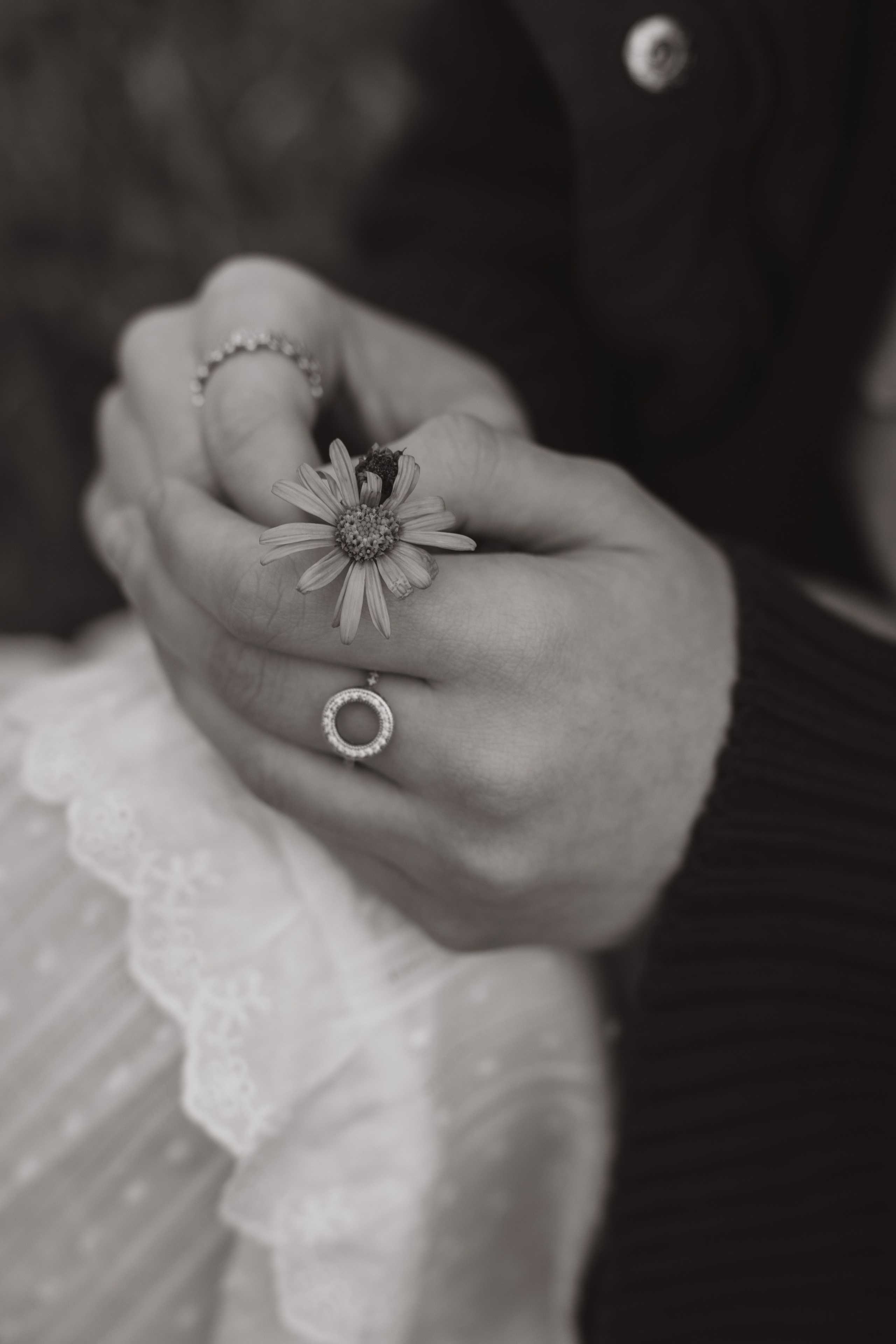 Iove 2. Фотограф Бутко Оксана