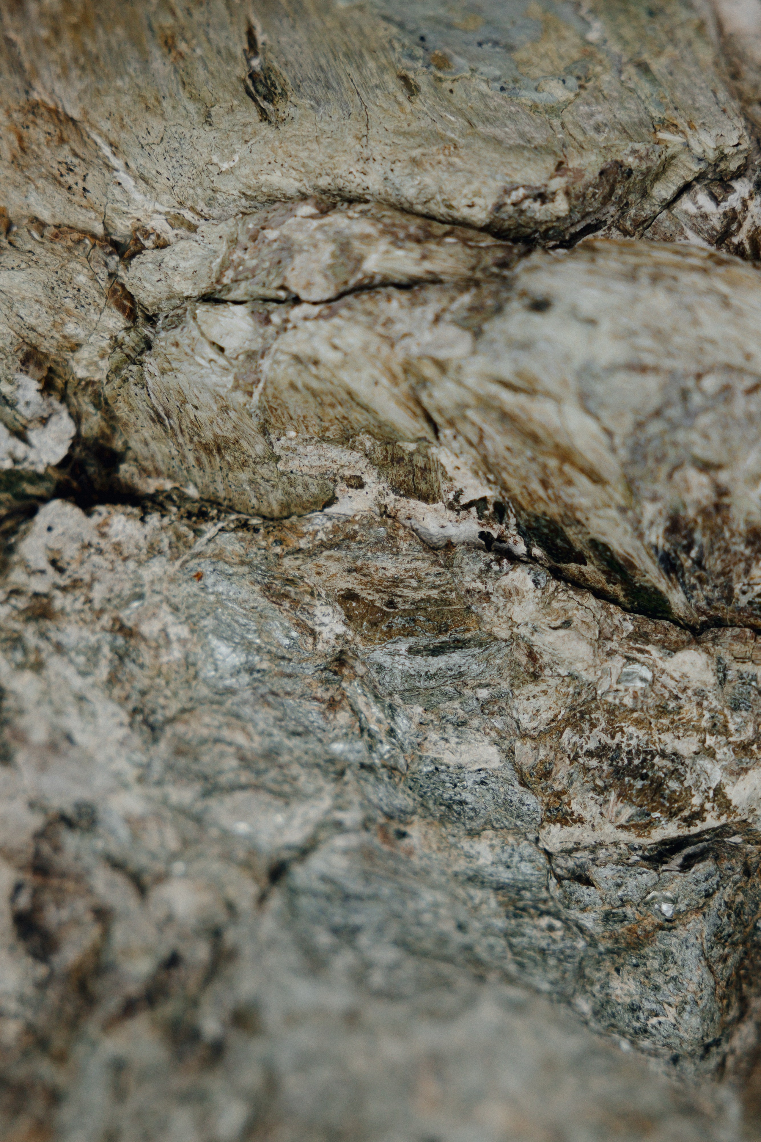 ОТЕЛЬ ВЕРТ. Свадебный и индивидуальный фотограф в Челябинске Евгения Негодяева