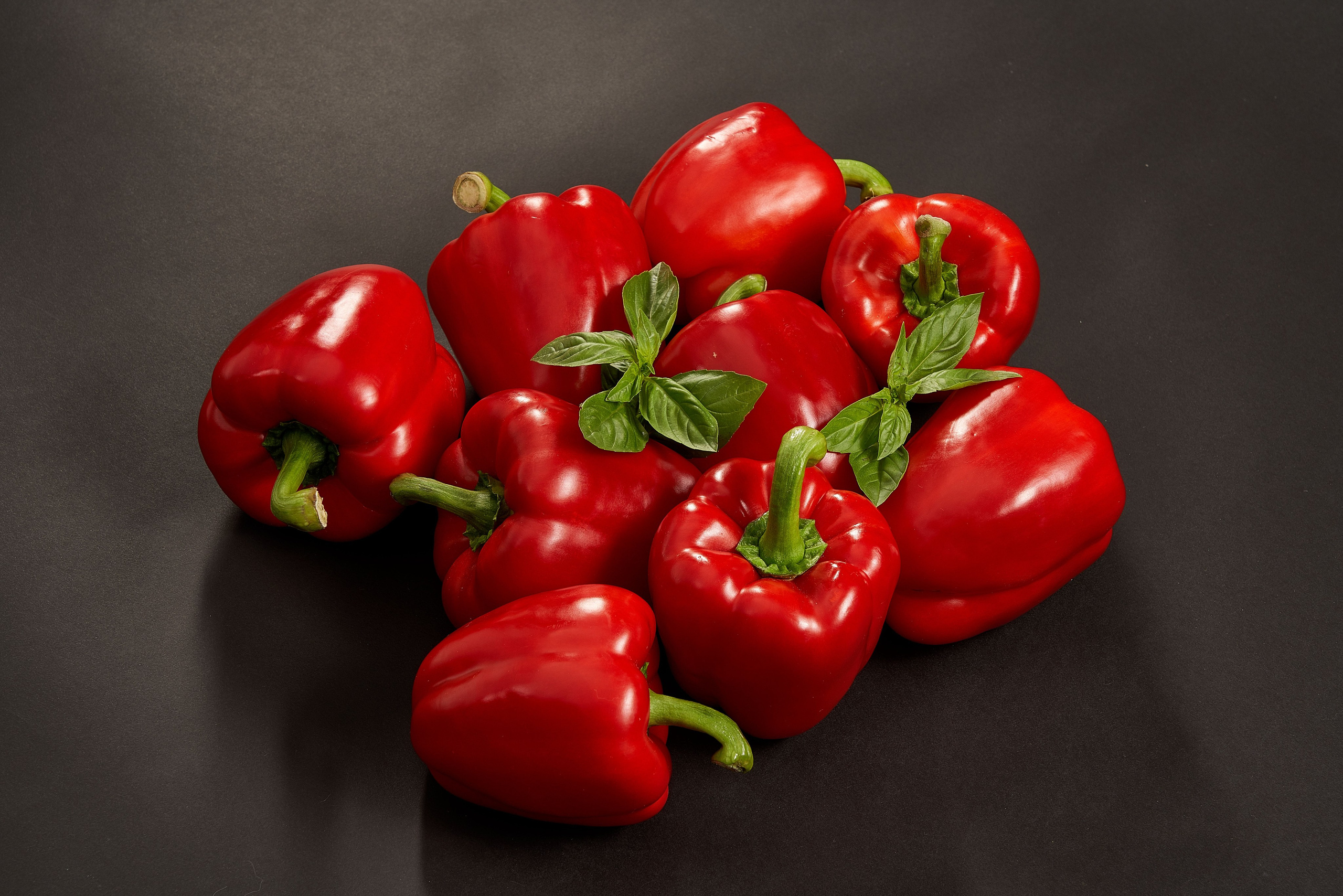 Without PROCESSING. Max Matvich and Victoria Basova are professionals in their field