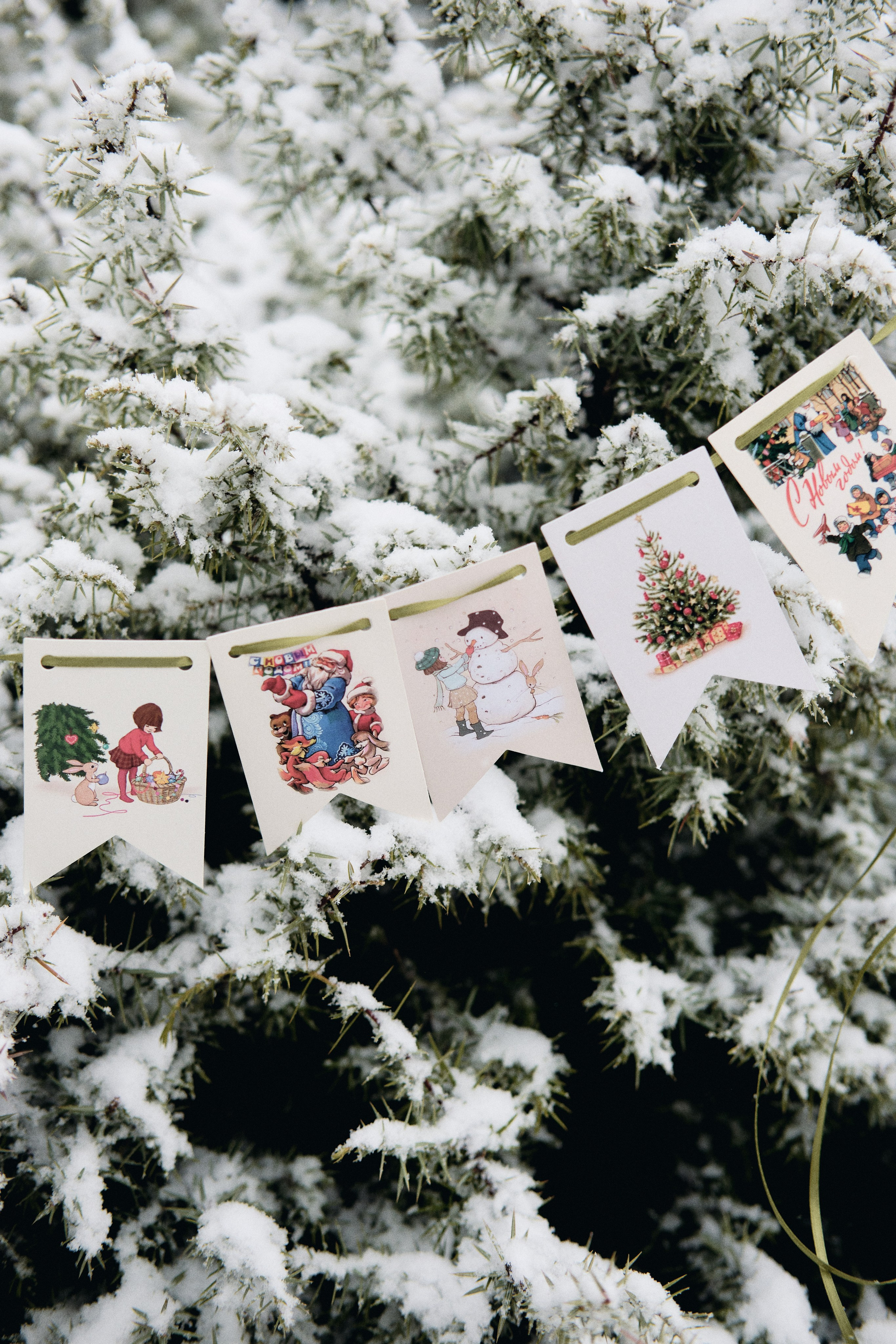 Каролинка. Фотограф в Анапе и Краснодаре Тина