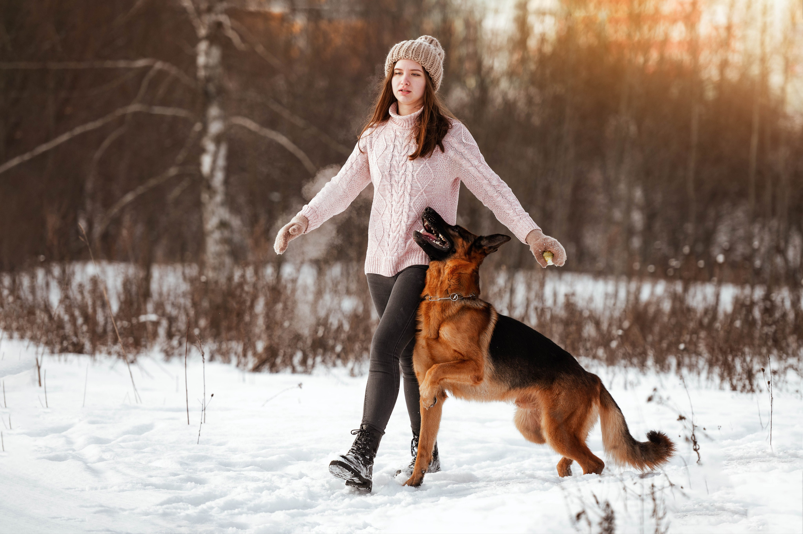 Вольт. Фотограф-анималист