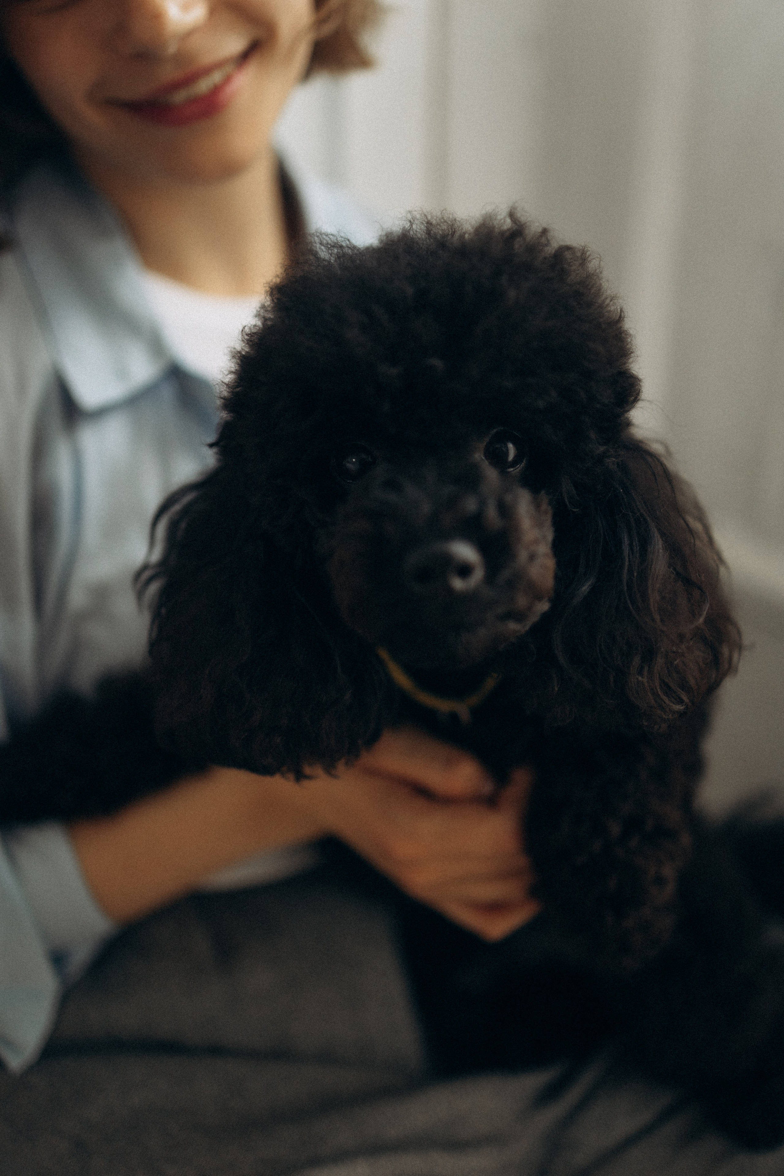 Полина и Мия. Фотораф — анималист Мария Шистка