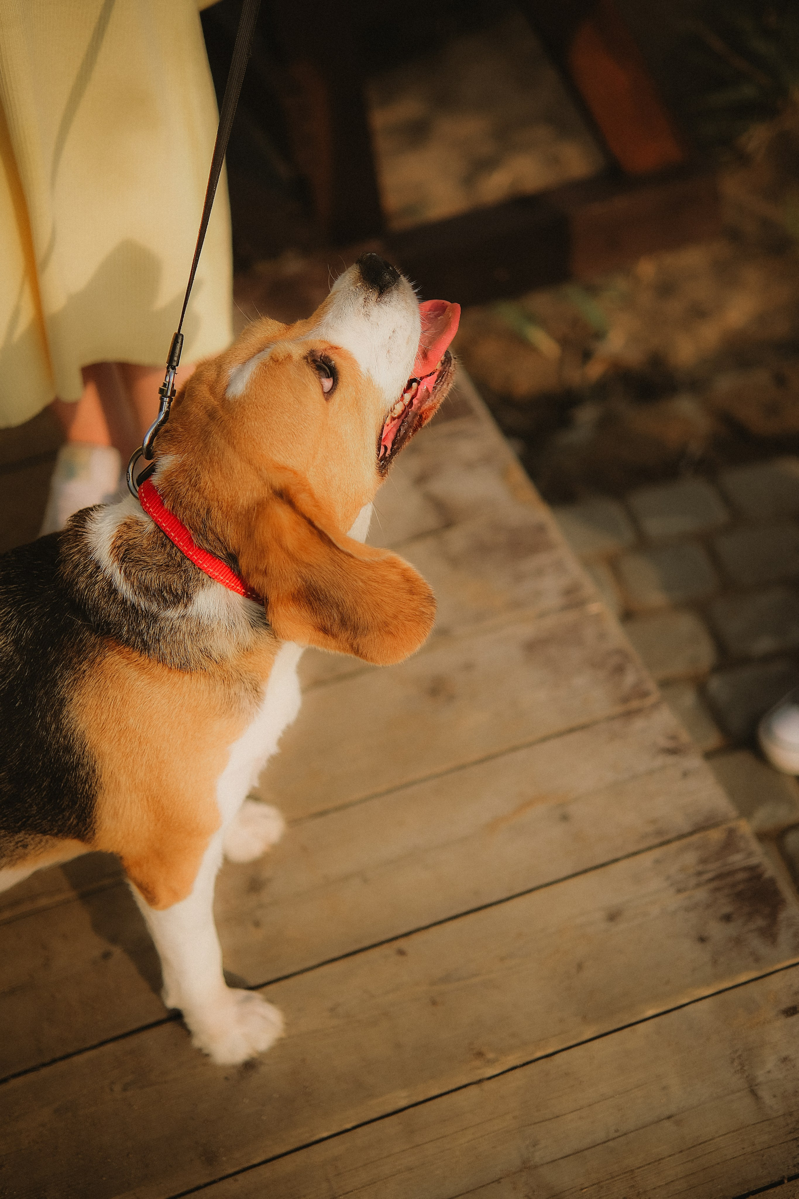 Алина & Максим. Phdkvmr.ru