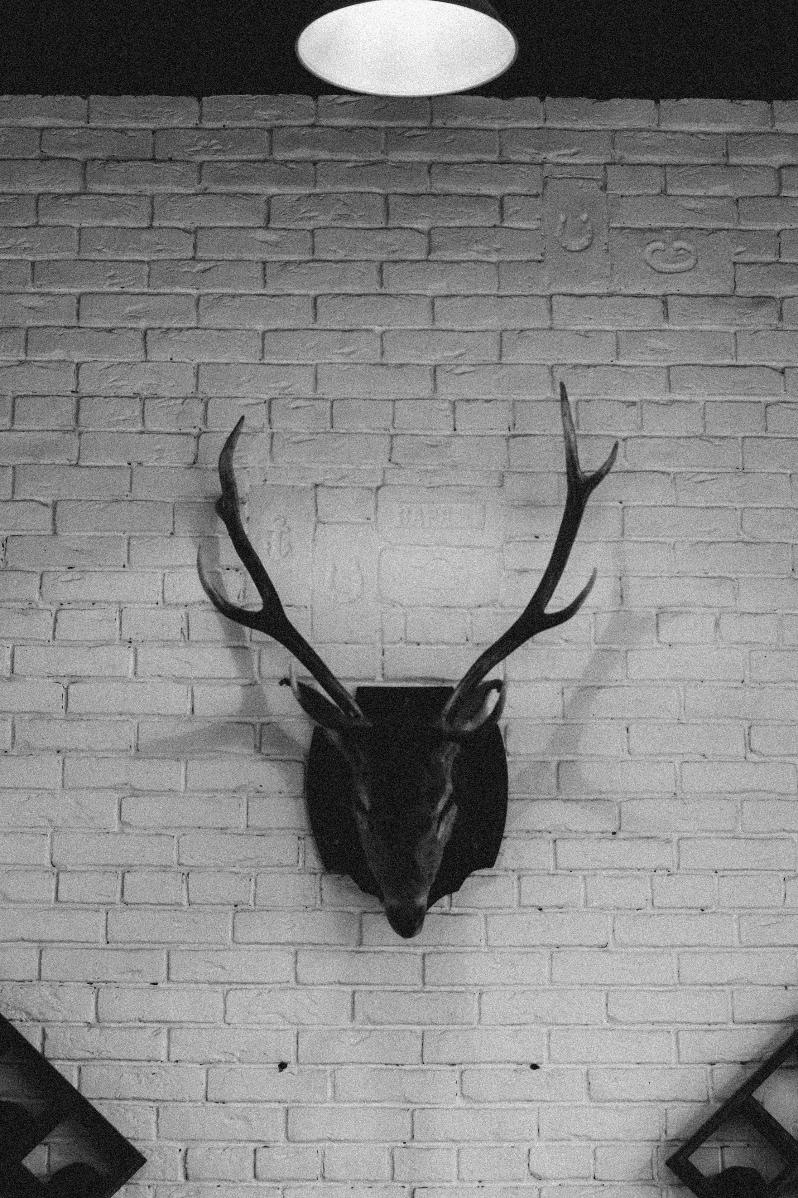 Контент-съемка барбершоп «mæsh». Коммерческий и Портретный Фотограф Симферополь Крым Максим Махо