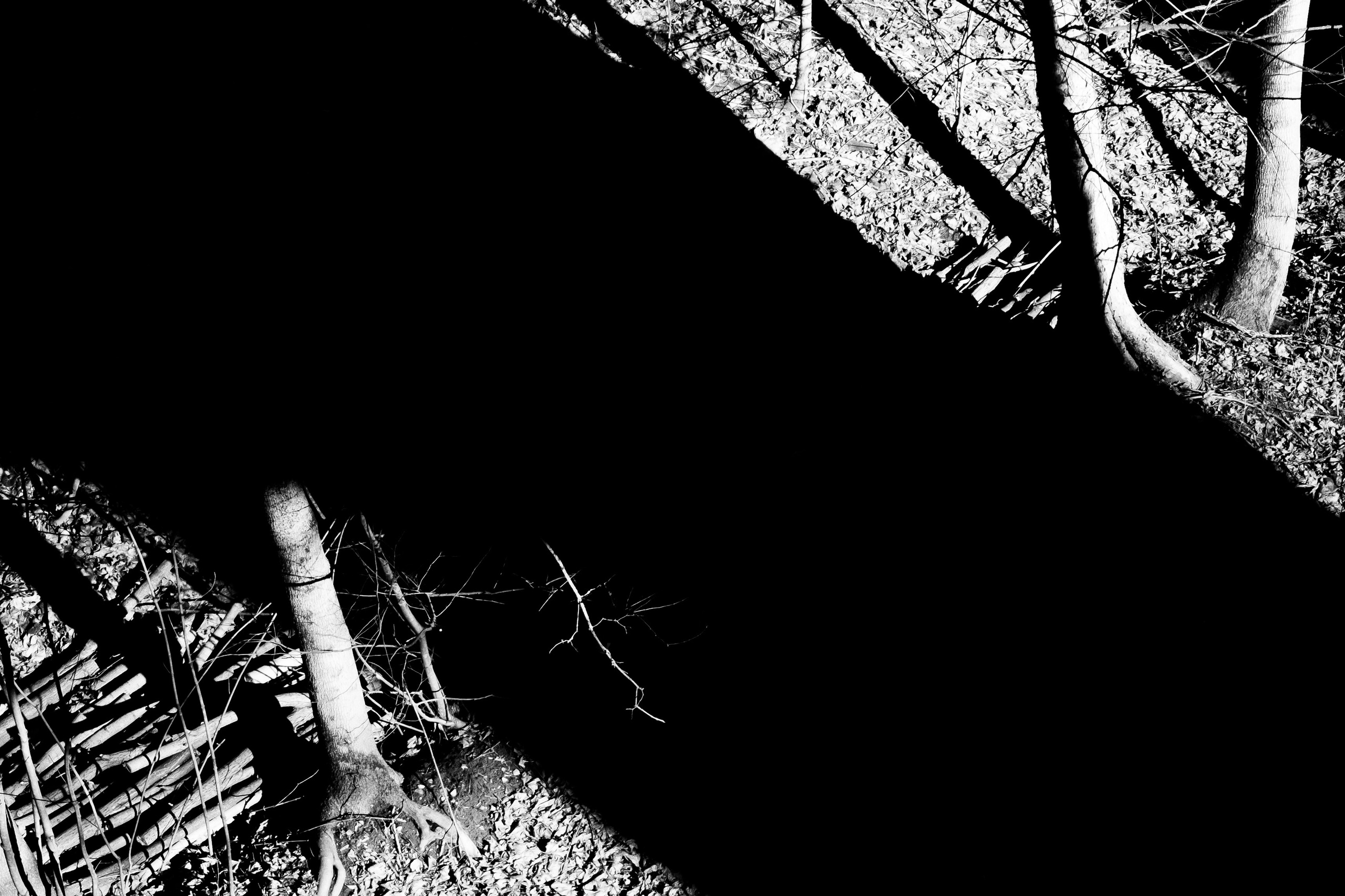 ЧБ. Художественный фотограф в Калуге