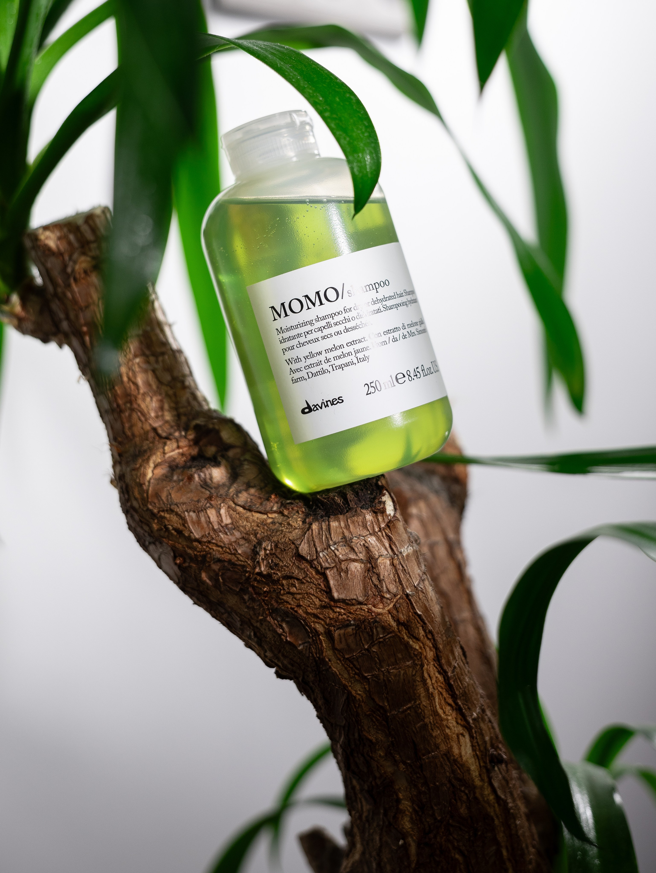 Петербургским Брендам. Профессиональный фотограф в Санкт-Петербурге Александр Волосенцев