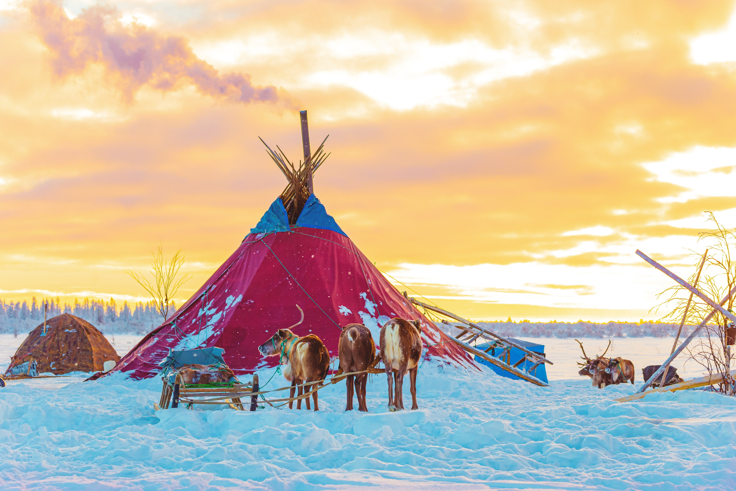Ненецкий автономный округ. Тревел-фотограф Елизавета Ларионова