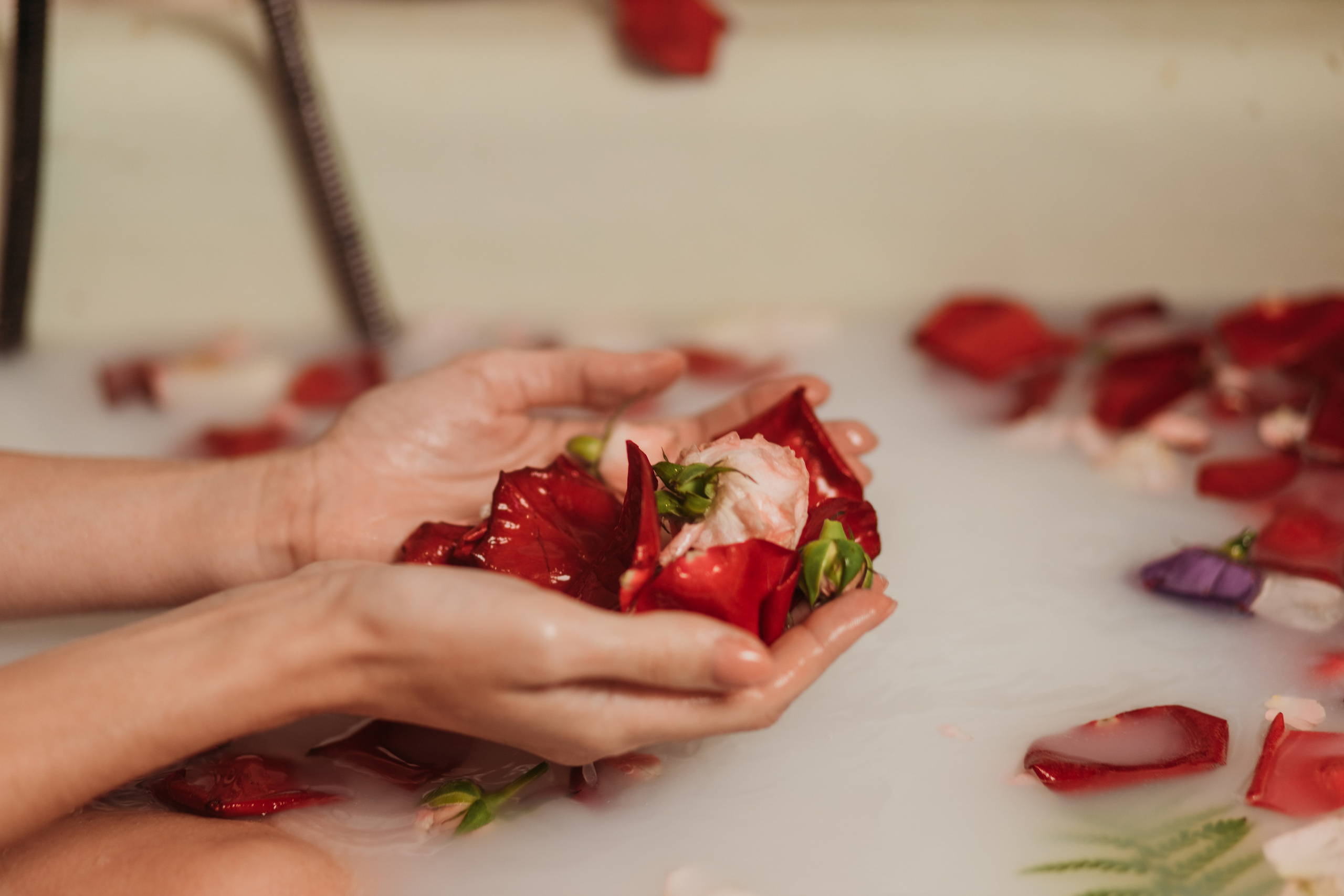 Micro Bali. Фотограф Сочи Татьяна Зорина